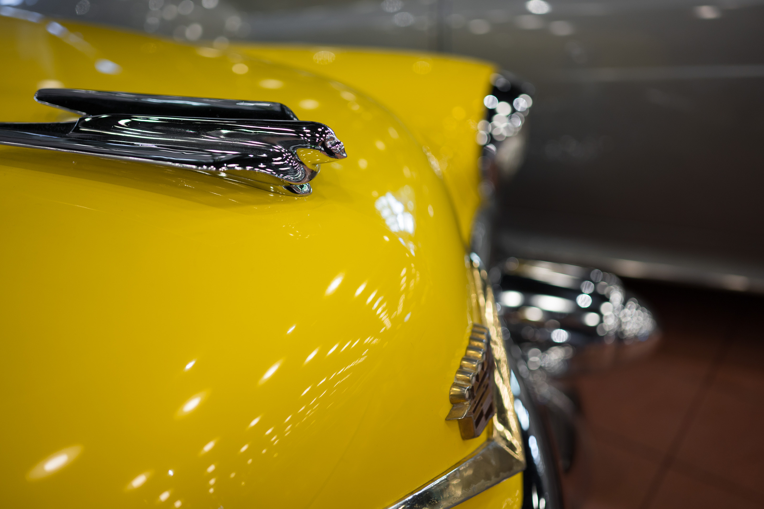 Турция '19. Юлия Розанова, коммерческий фоторепортаж в Москве