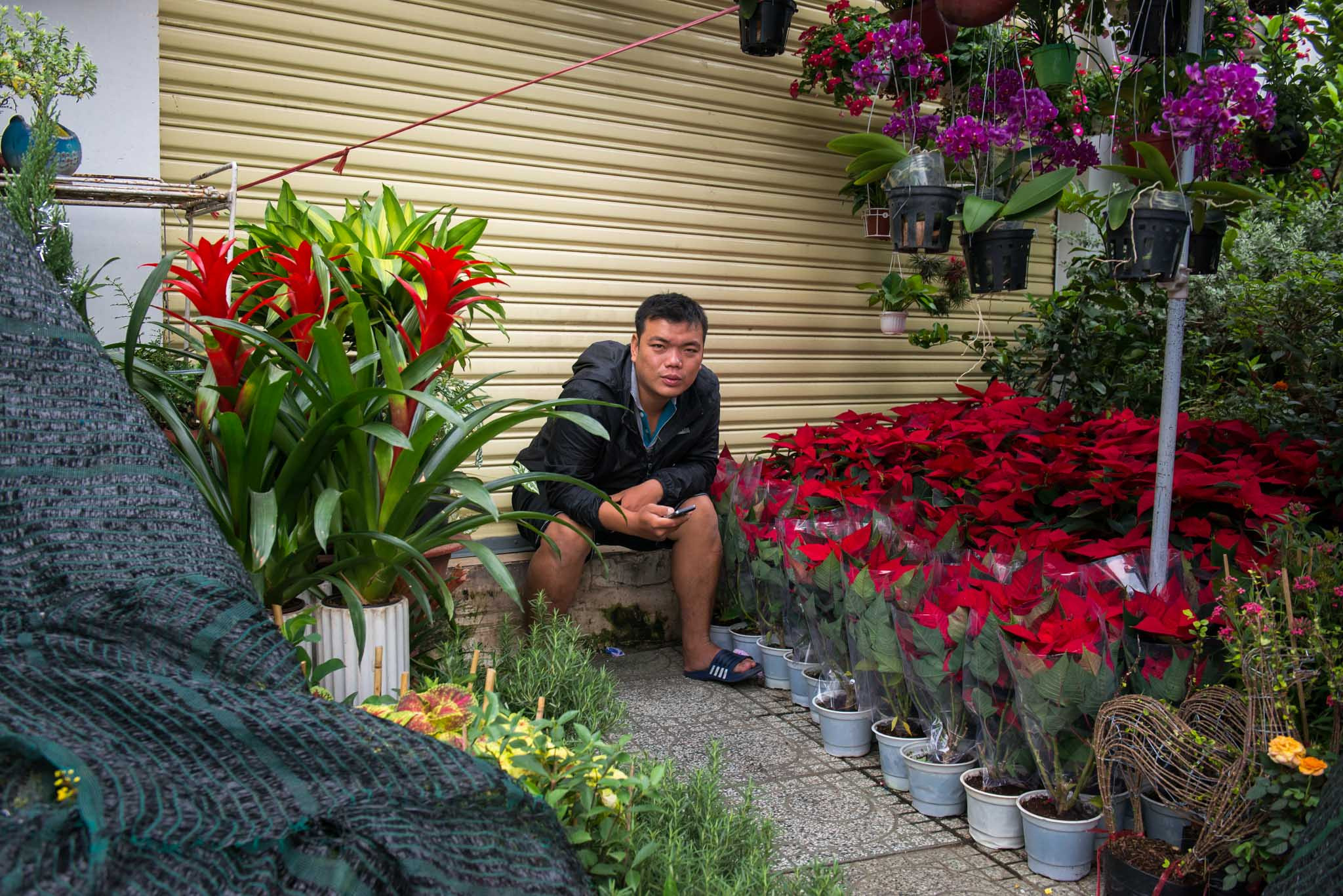 Фотопрогулка. Декабрь 2017. Юлия Розанова, коммерческий фоторепортаж в Москве