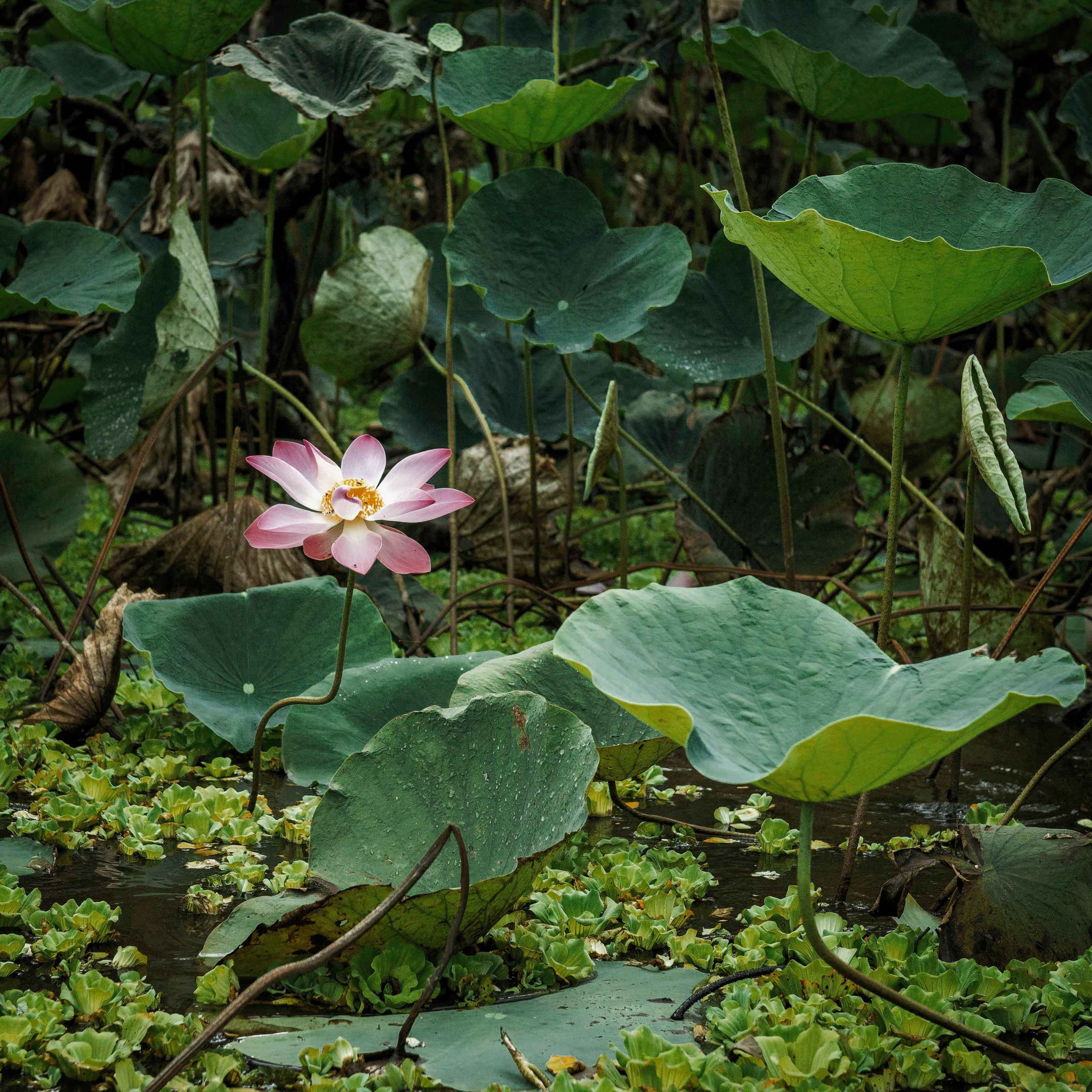 Тяудок. Март 2018. Юлия Розанова, коммерческий фоторепортаж в Москве
