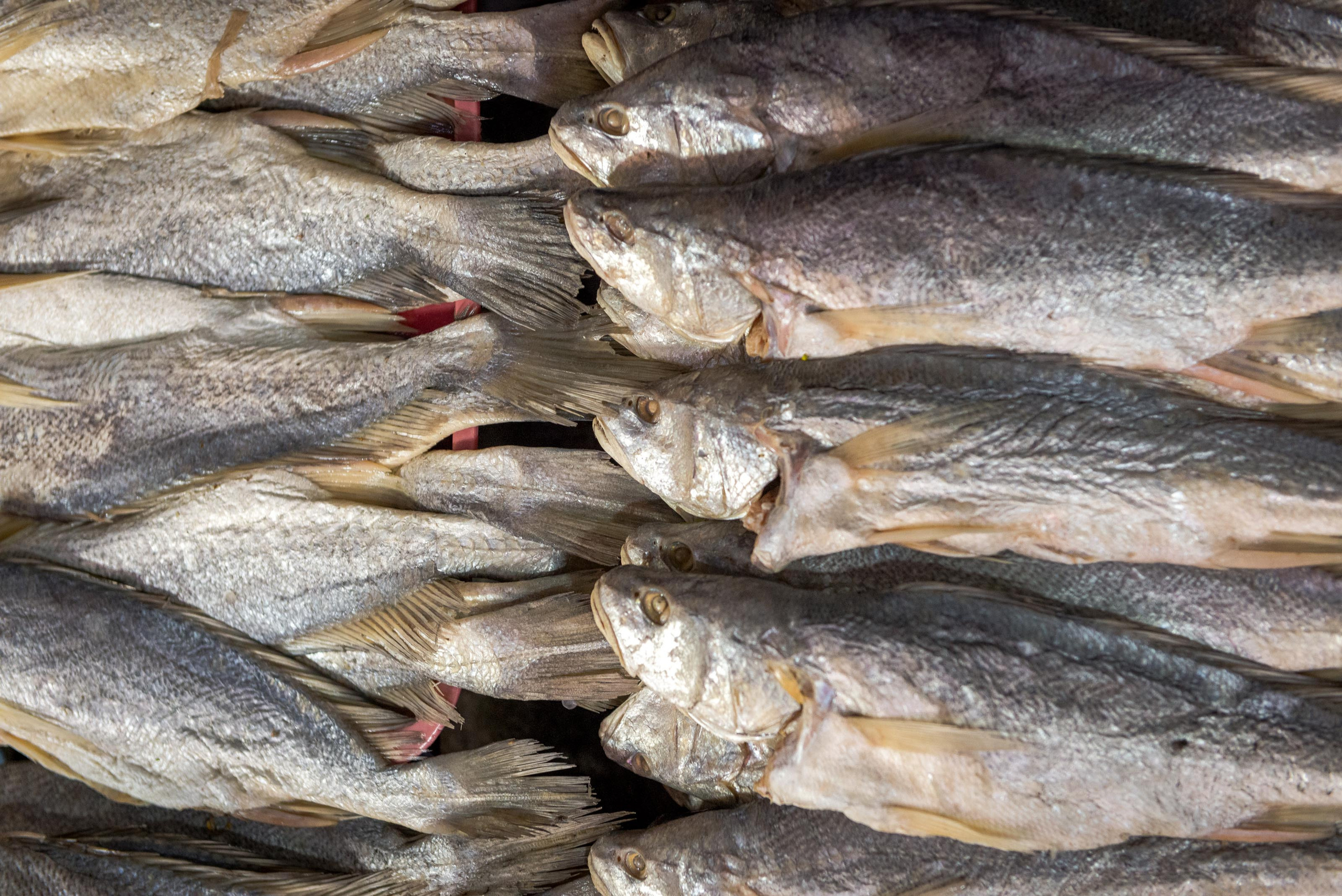 Тяудок. Март 2018. Юлия Розанова, коммерческий фоторепортаж в Москве