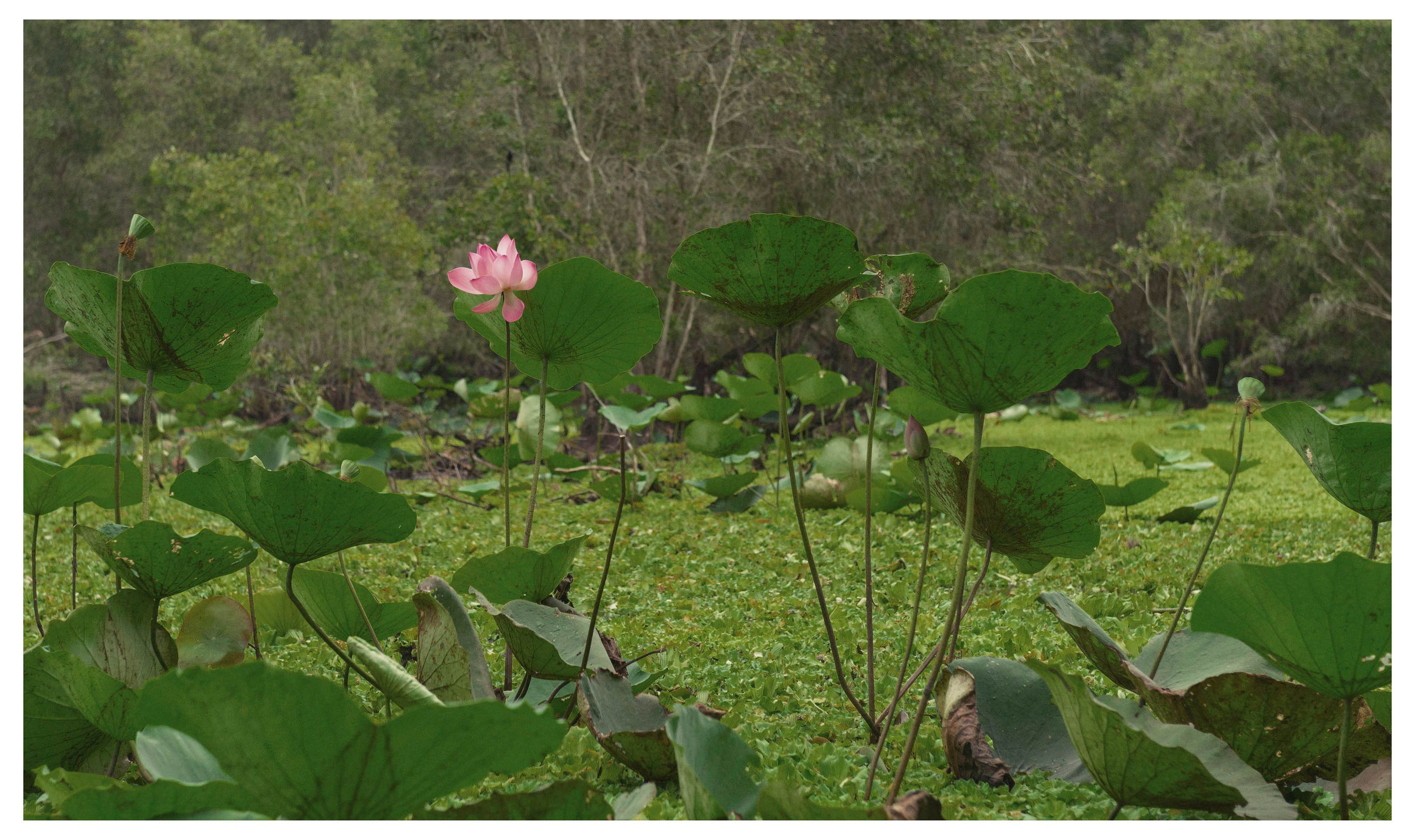 Тяудок. Март 2018. Юлия Розанова, коммерческий фоторепортаж в Москве