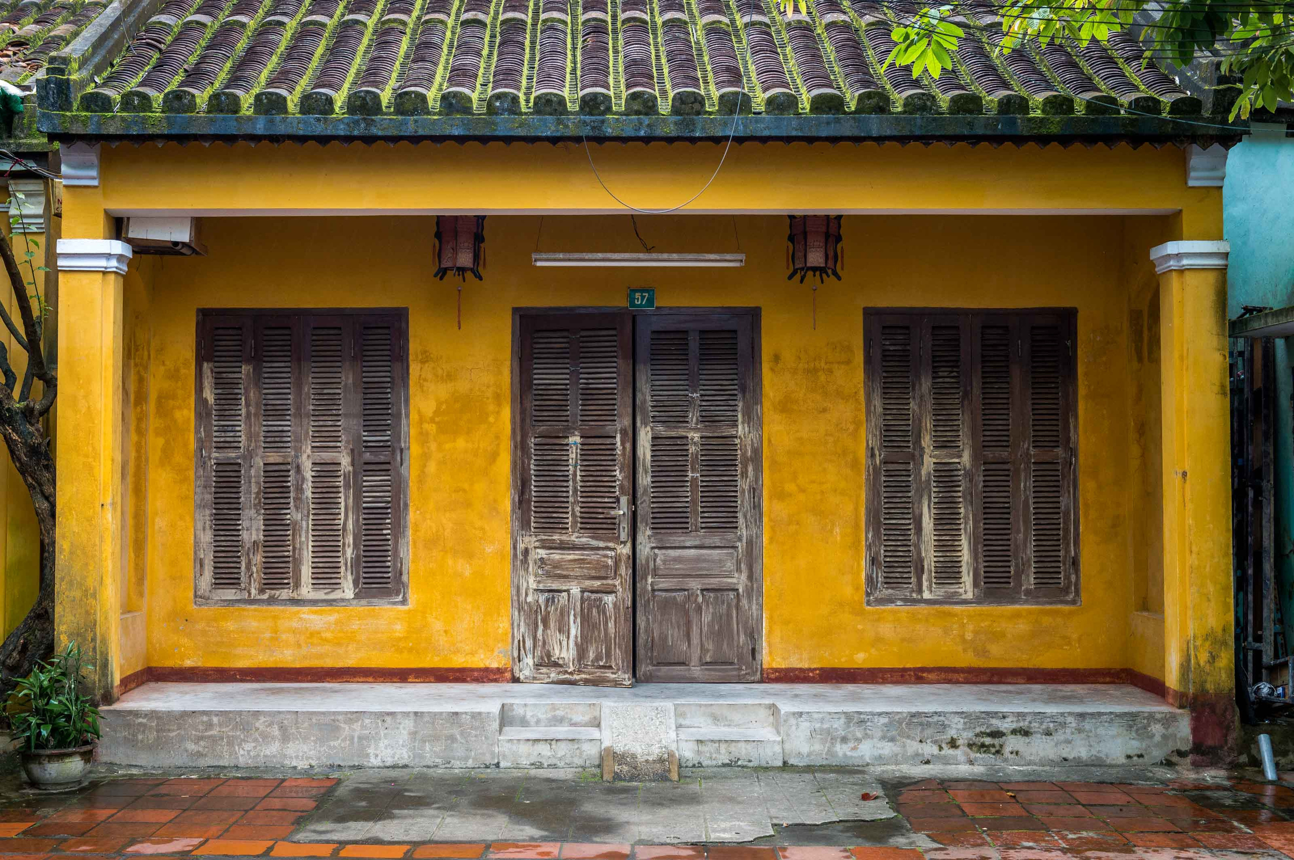 Хойан. Январь 2018. Юлия Розанова, коммерческий фоторепортаж в Москве