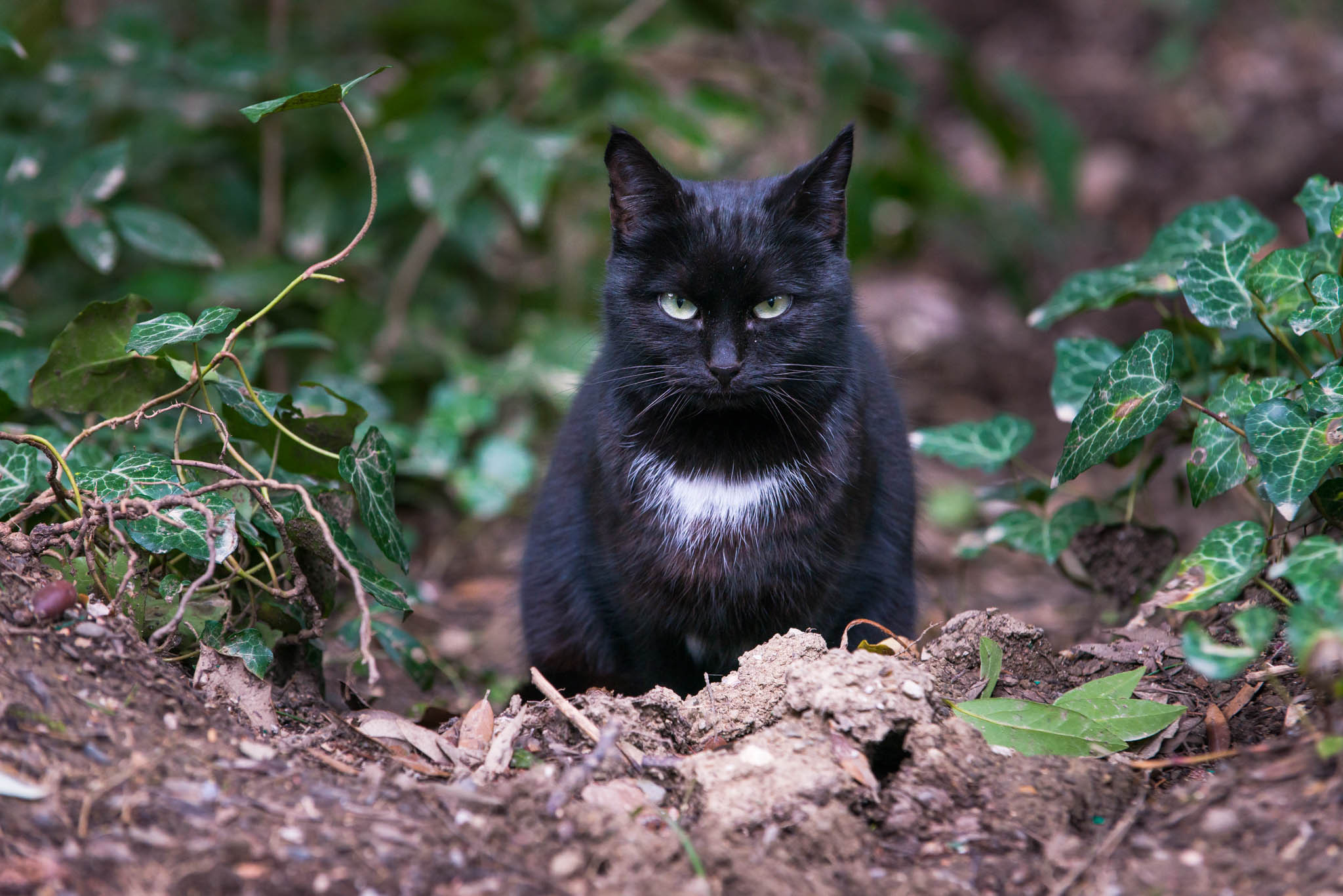 Симеиз-Ялта. Друзья. Юлия Розанова, коммерческий фоторепортаж в Москве
