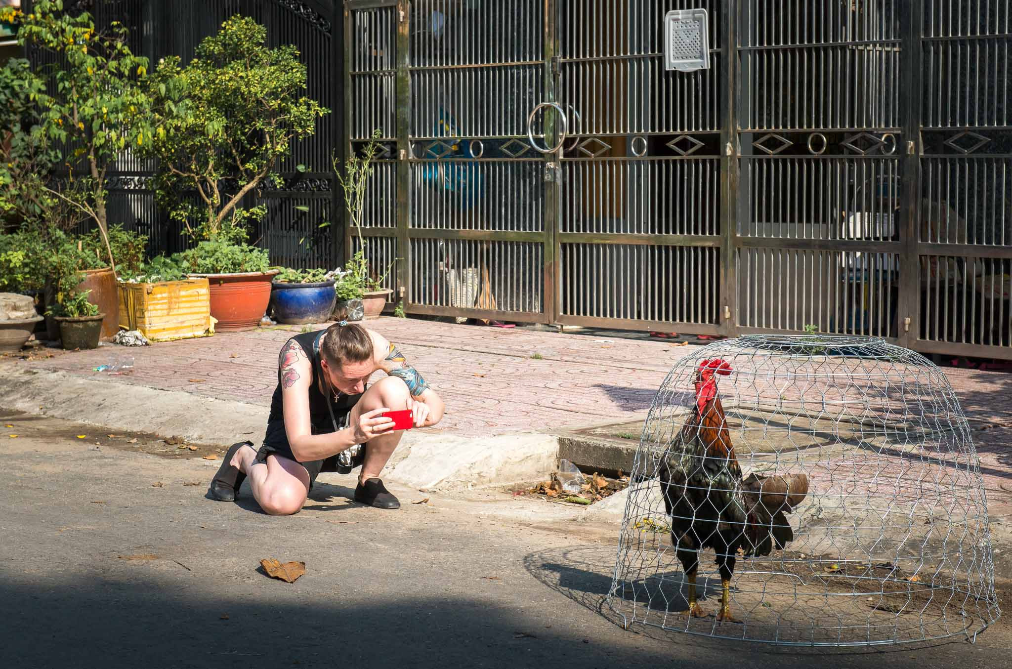 Фотопрогулка. Ноябрь 2017. Юлия Розанова, коммерческий фоторепортаж в Москве