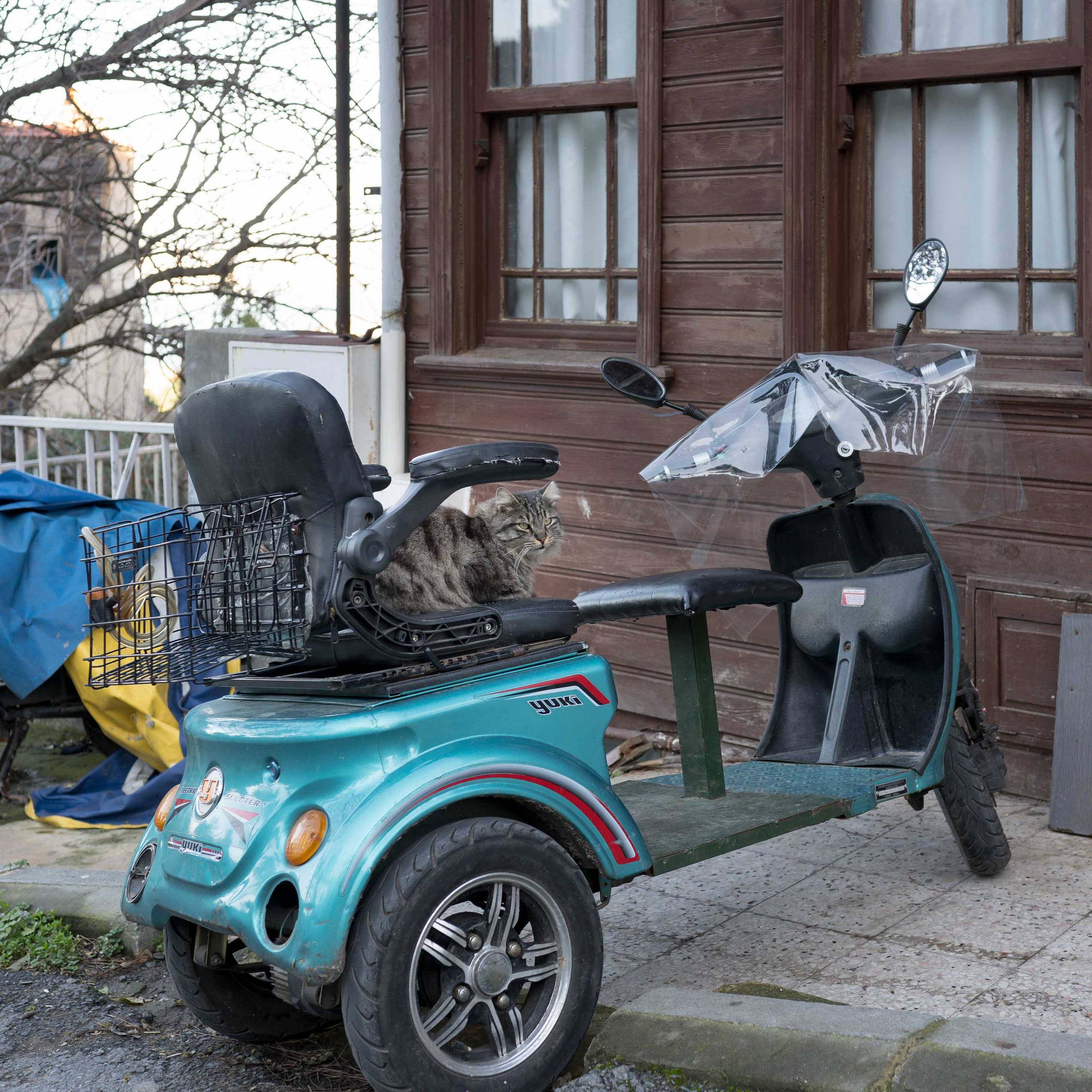 Стамбул '20. Юлия Розанова, коммерческий фоторепортаж в Москве