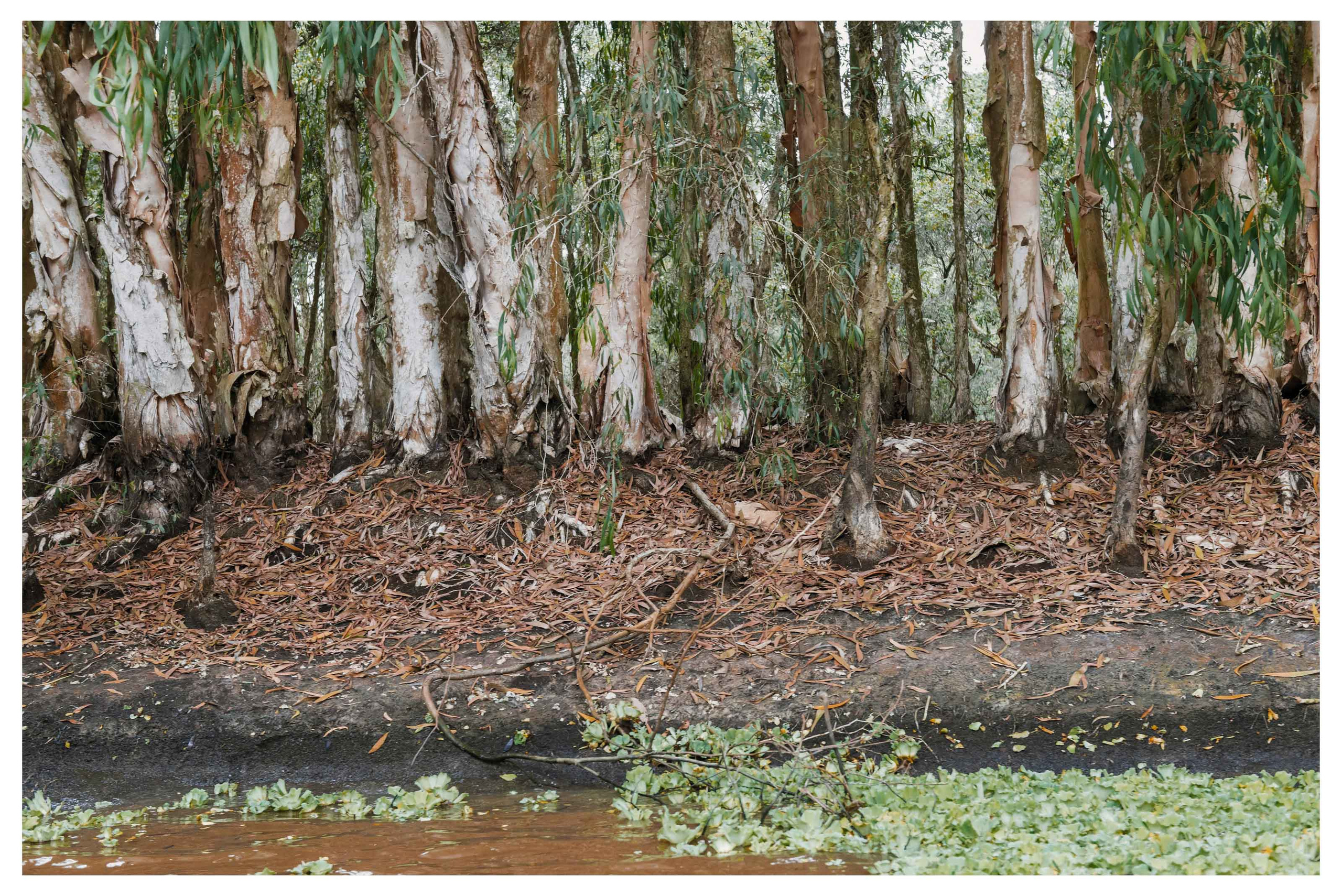 Тяудок. Март 2018. Юлия Розанова, коммерческий фоторепортаж в Москве