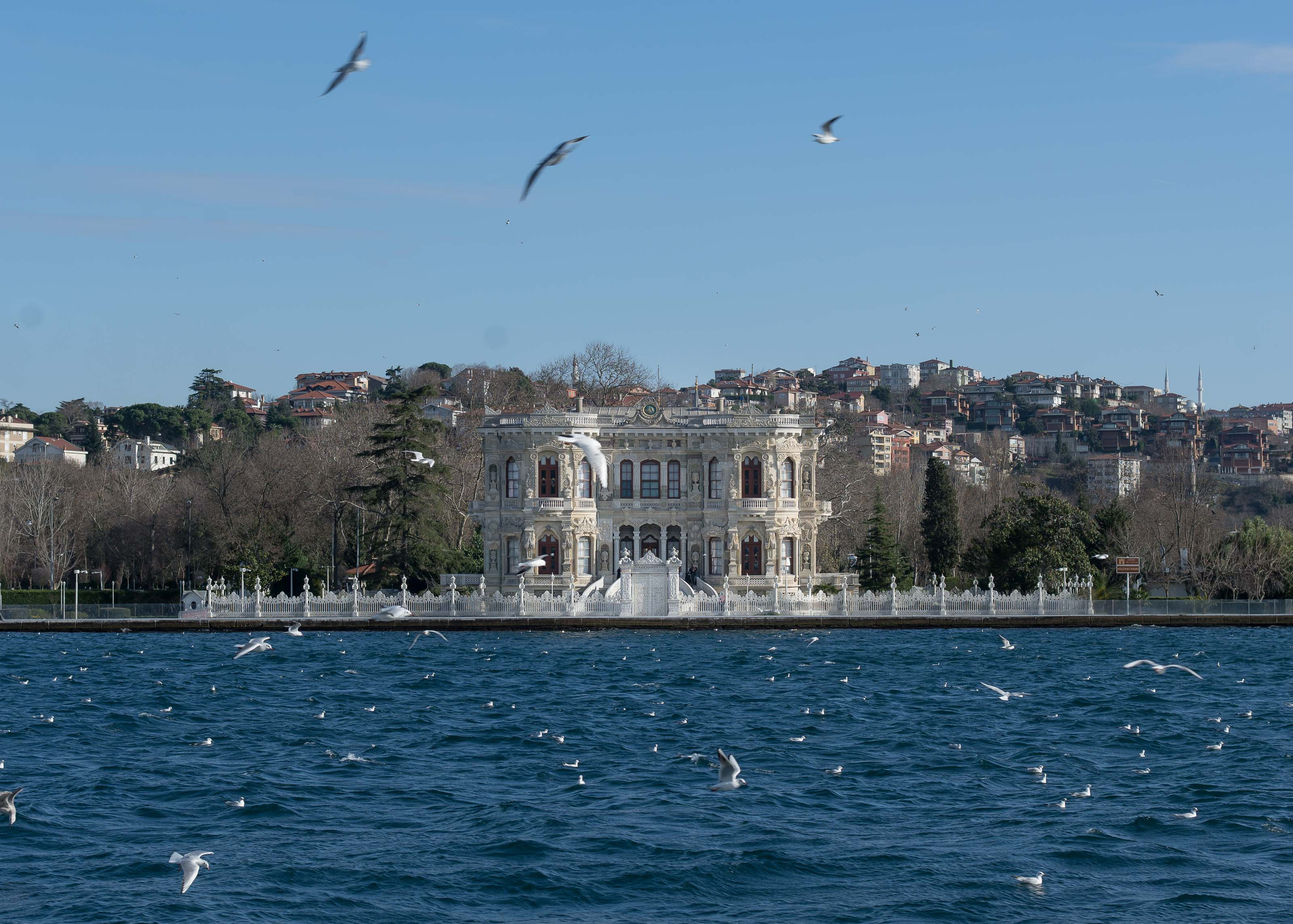 Стамбул '20. Юлия Розанова, коммерческий фоторепортаж в Москве