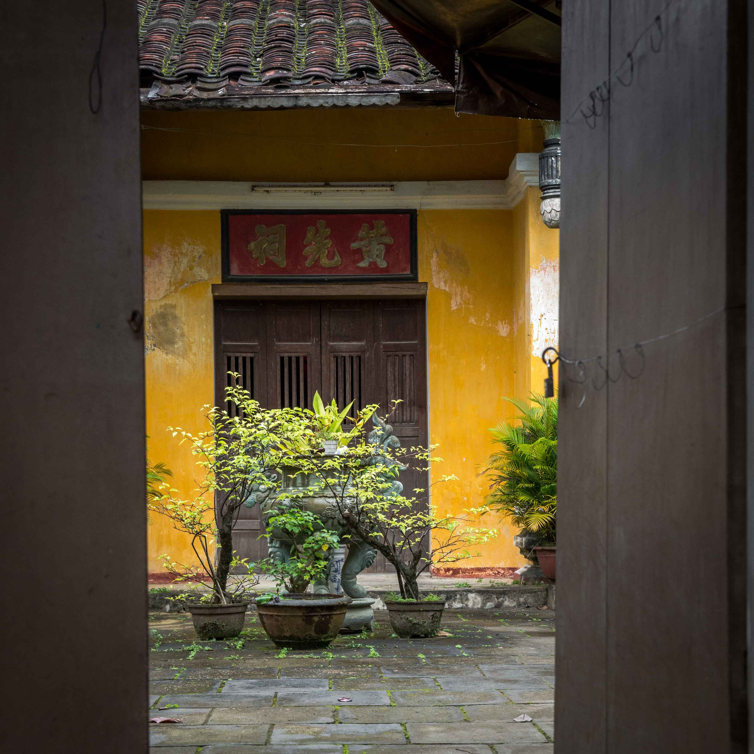 Хойан. Январь 2018. Юлия Розанова, коммерческий фоторепортаж в Москве