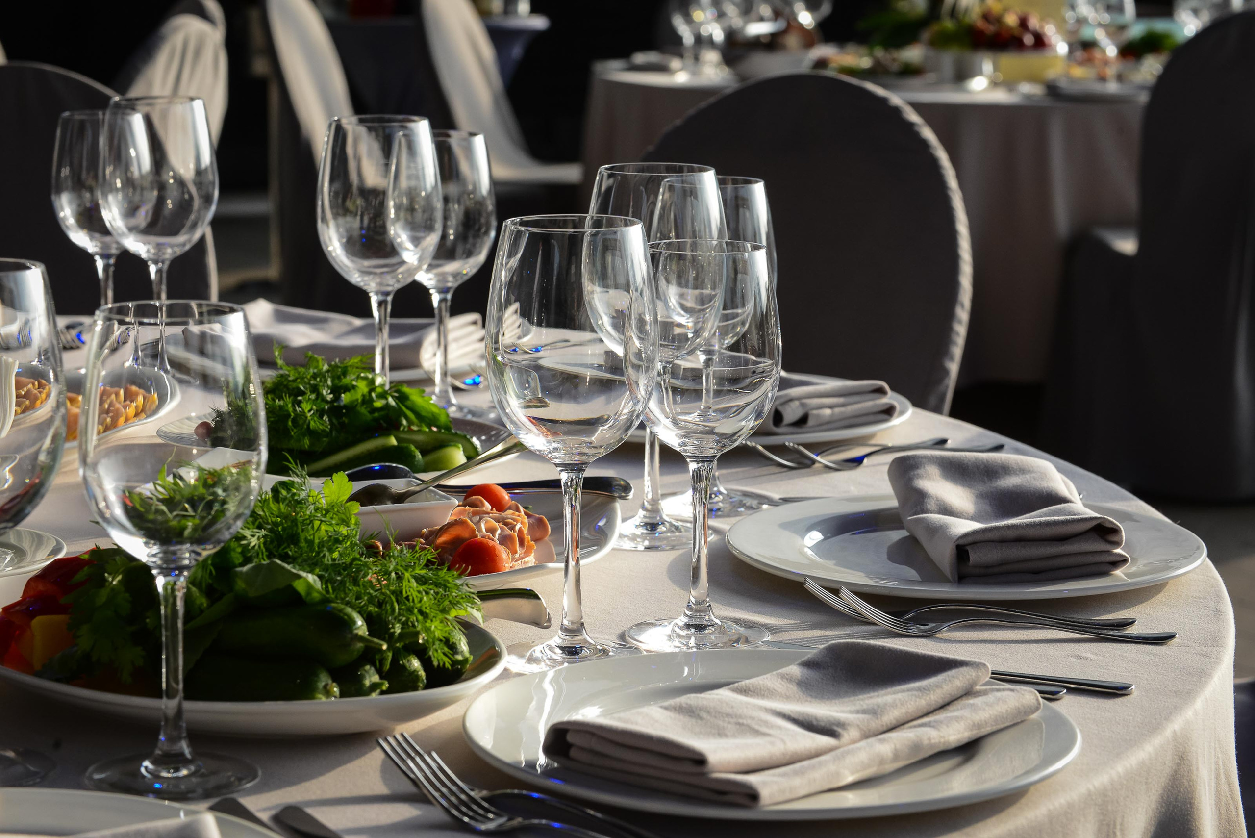 Юбилей Александра '16. Юлия Розанова, коммерческий фоторепортаж в Москве