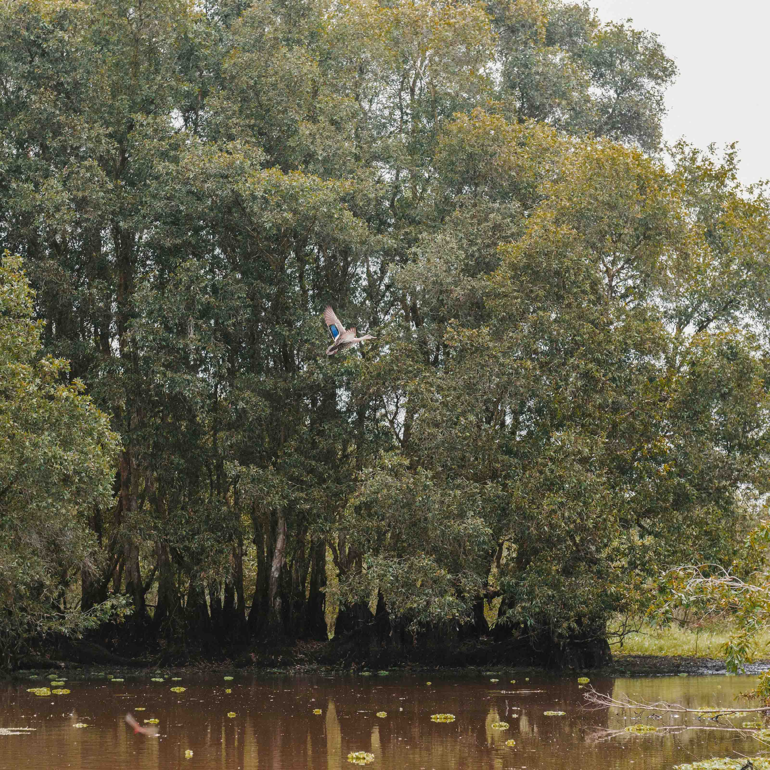Тяудок. Март 2018. Юлия Розанова, коммерческий фоторепортаж в Москве