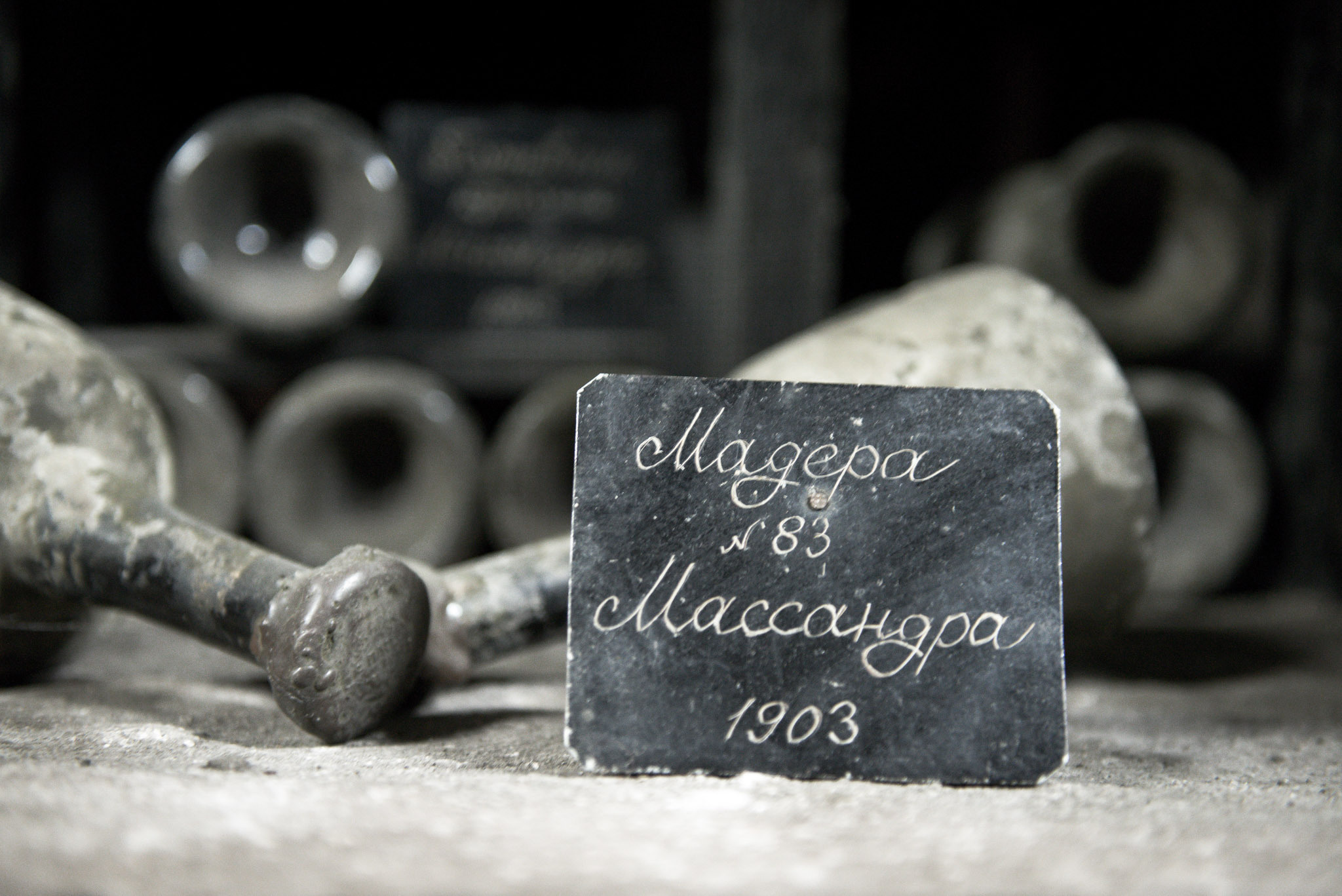 Массандра. Винодельческий комбинат. Юлия Розанова, коммерческий фоторепортаж в Москве