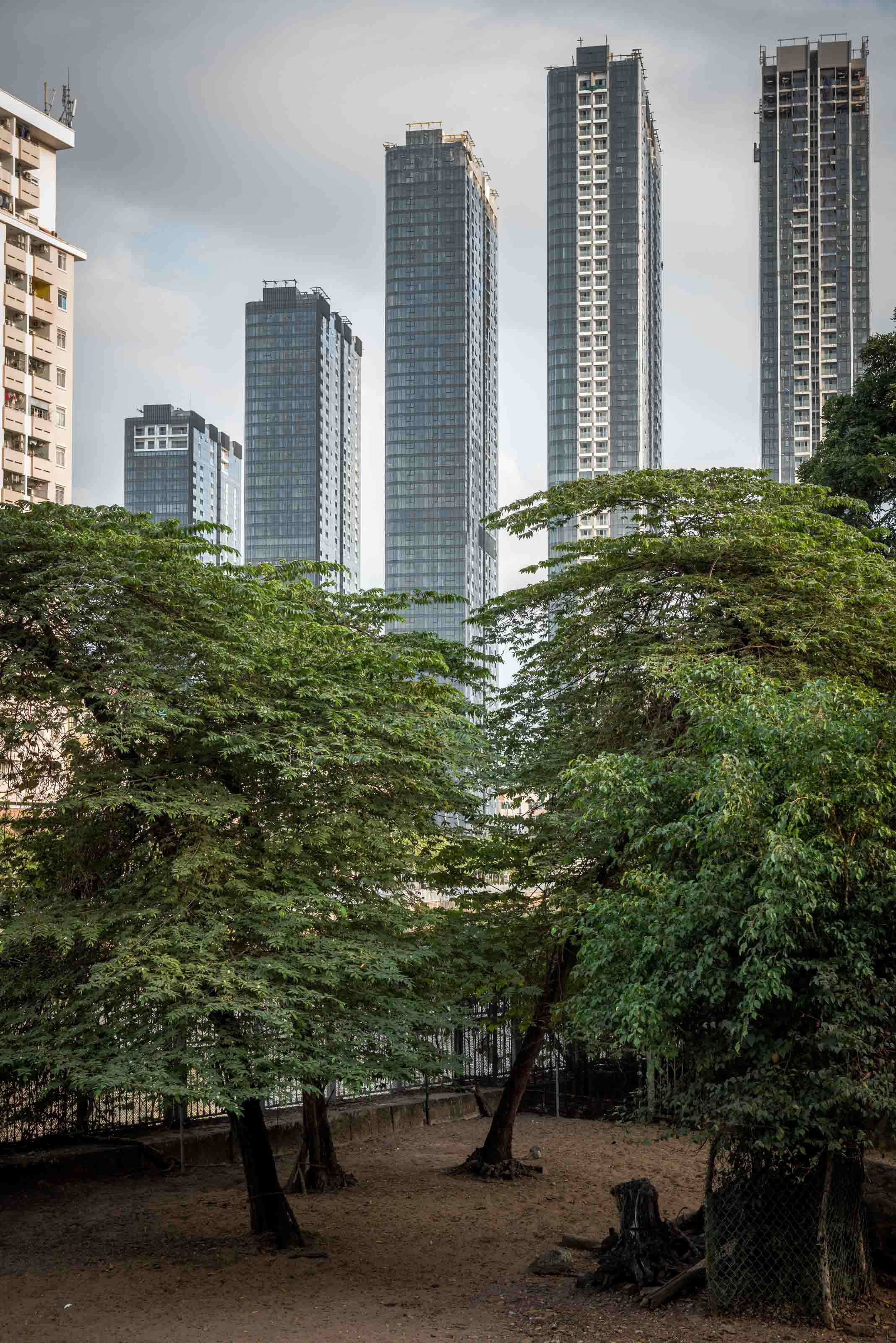 Фотопрогулка. Январь 2018. Юлия Розанова, коммерческий фоторепортаж в Москве