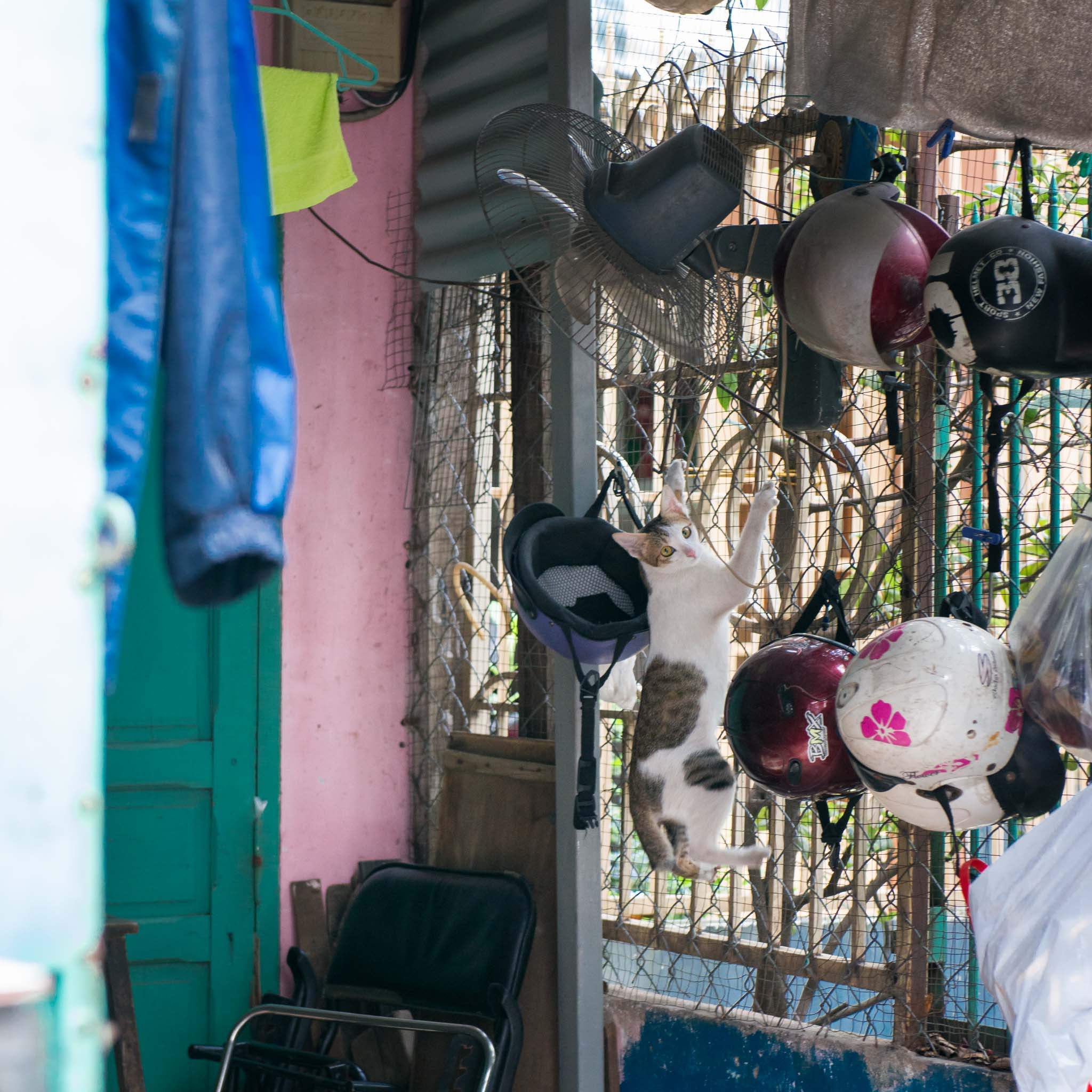 Фотопрогулка. Декабрь 2017. Юлия Розанова, коммерческий фоторепортаж в Москве