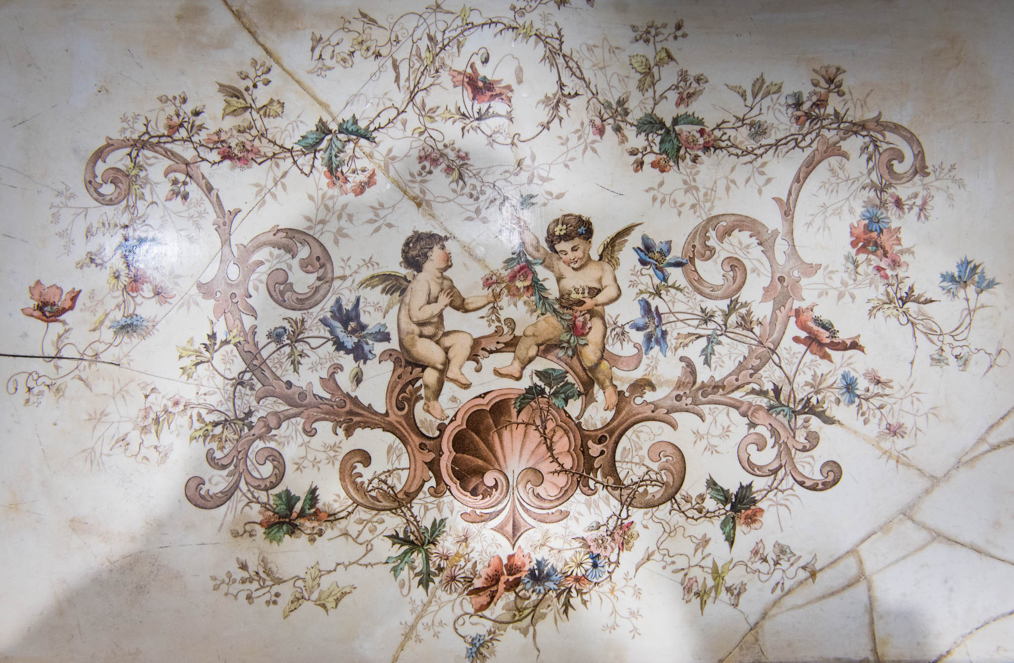 Московская обл. Шахматово. Юлия Розанова, коммерческий фоторепортаж в Москве