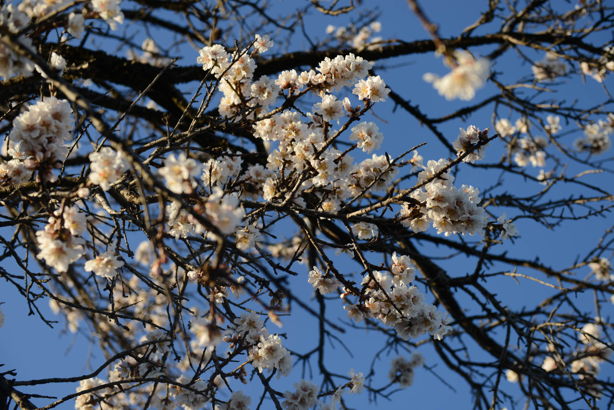 Симеиз-Ялта. Друзья. Юлия Розанова, коммерческий фоторепортаж в Москве