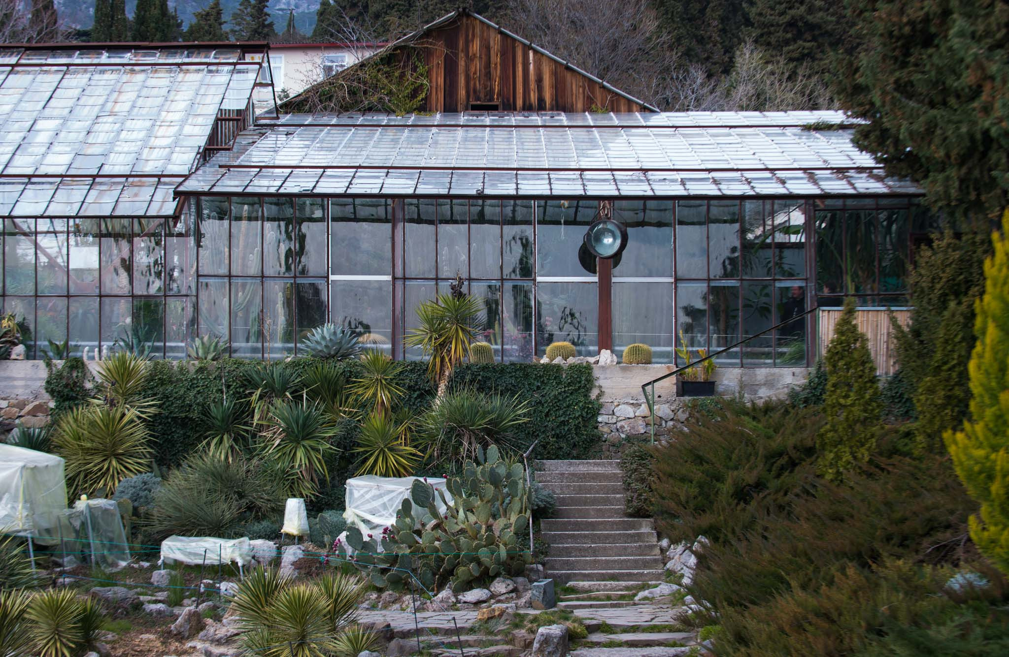 Симеиз-Ялта. Друзья. Юлия Розанова, коммерческий фоторепортаж в Москве