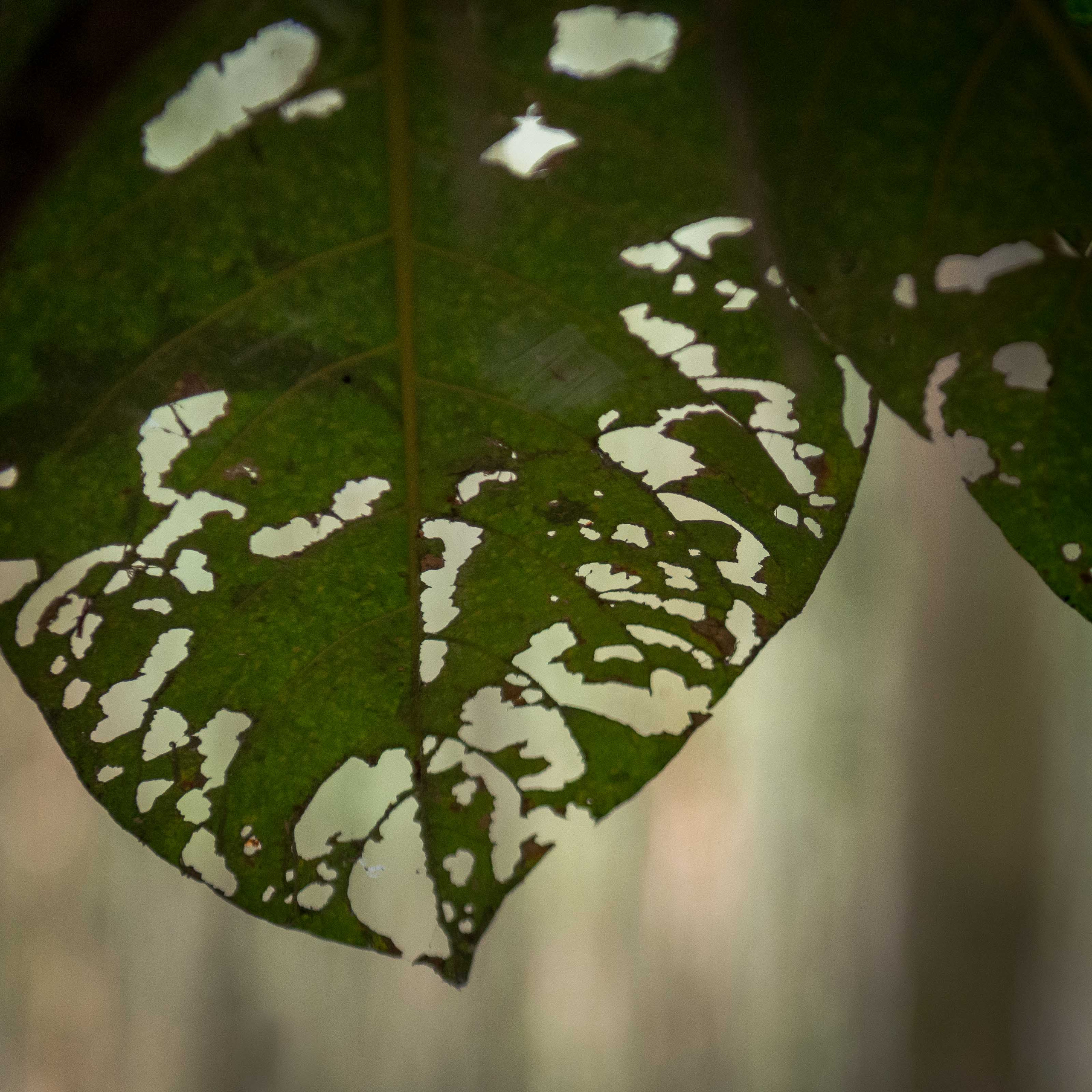 Тяудок. Март 2018. Юлия Розанова, коммерческий фоторепортаж в Москве