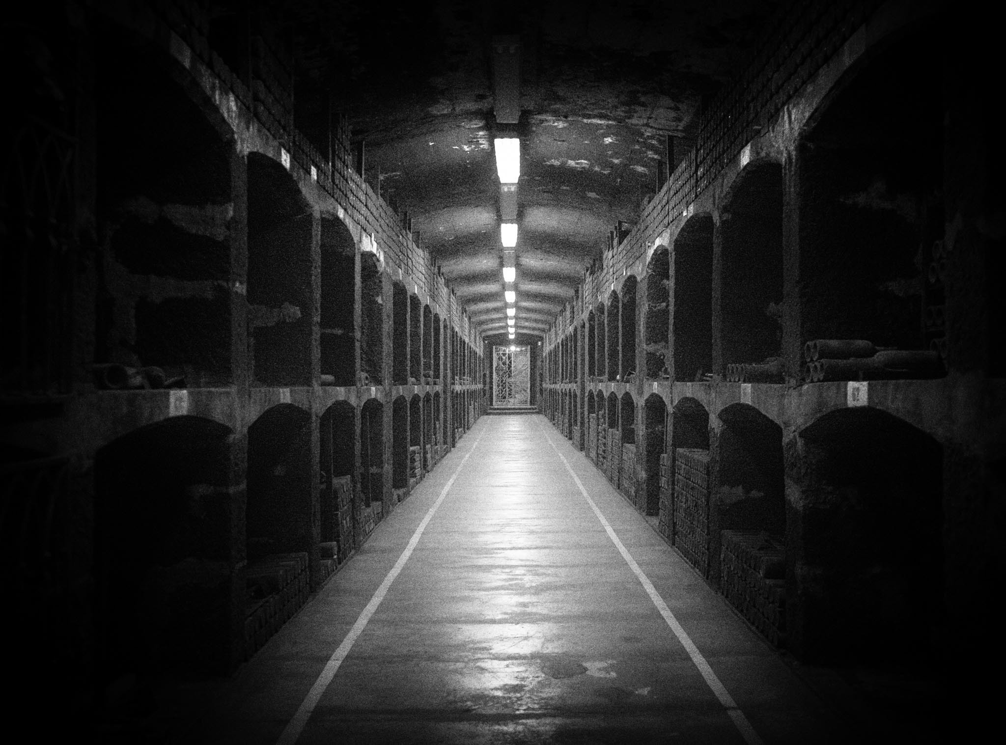 Массандра. Винодельческий комбинат. Юлия Розанова, коммерческий фоторепортаж в Москве