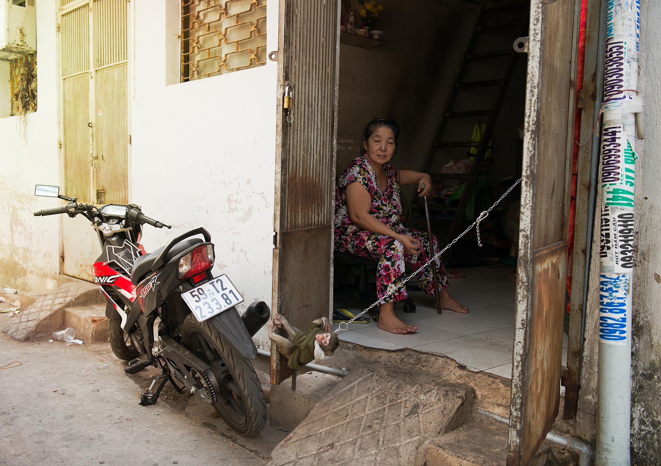 Фотопрогулка. Февраль 2019. Юлия Розанова, коммерческий фоторепортаж в Москве