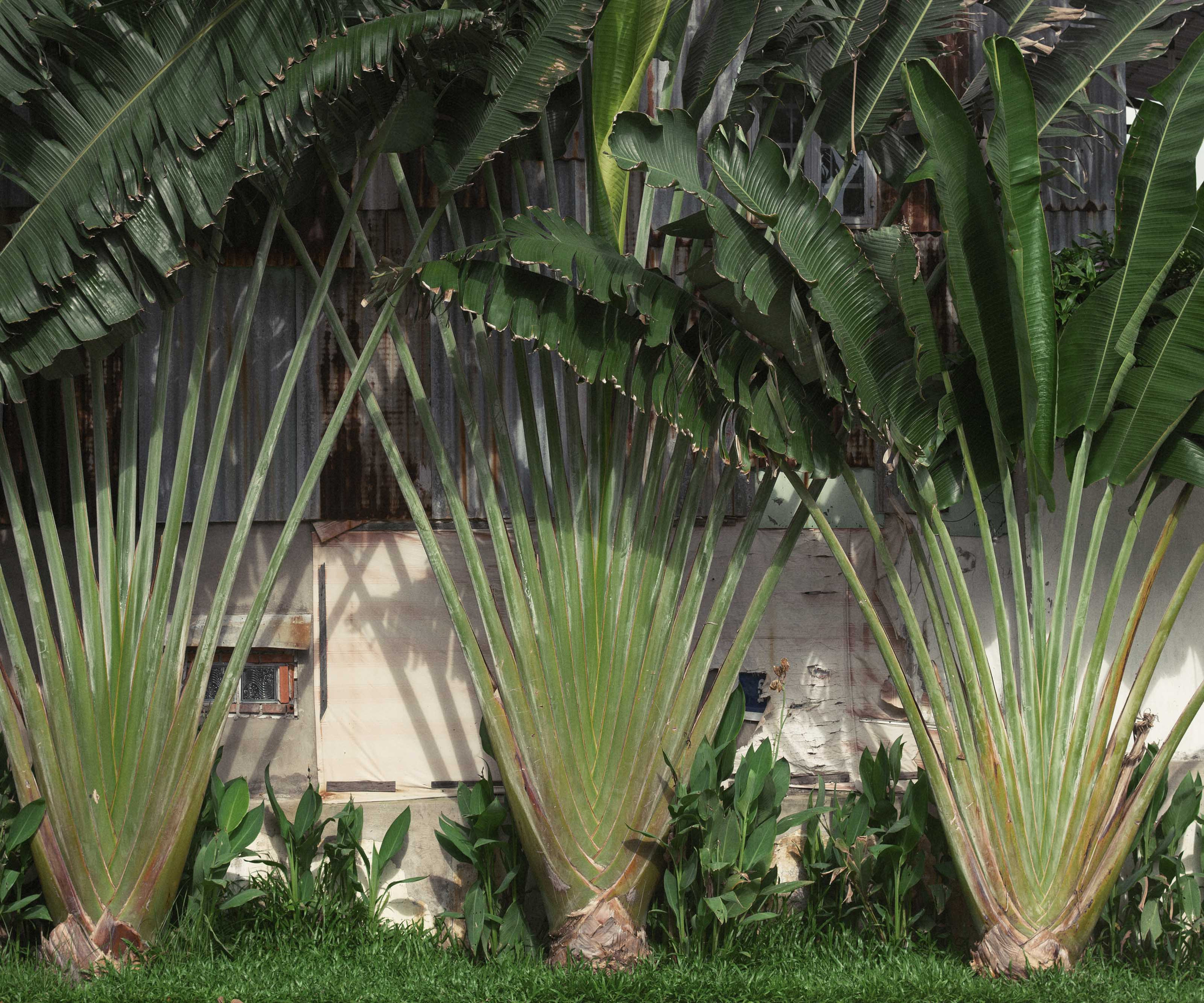 Фотопрогулка. Август 2020. Юлия Розанова, коммерческий фоторепортаж в Москве