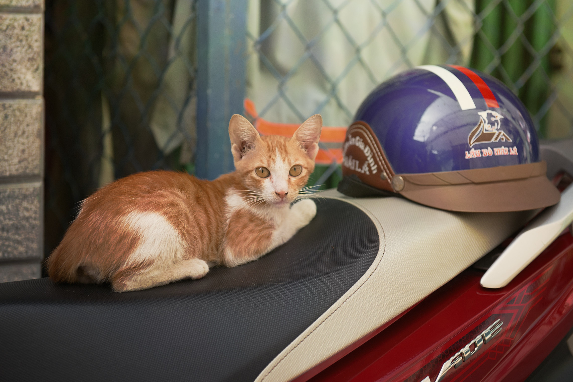 Фотопрогулка. Январь 2019. Юлия Розанова, коммерческий фоторепортаж в Москве