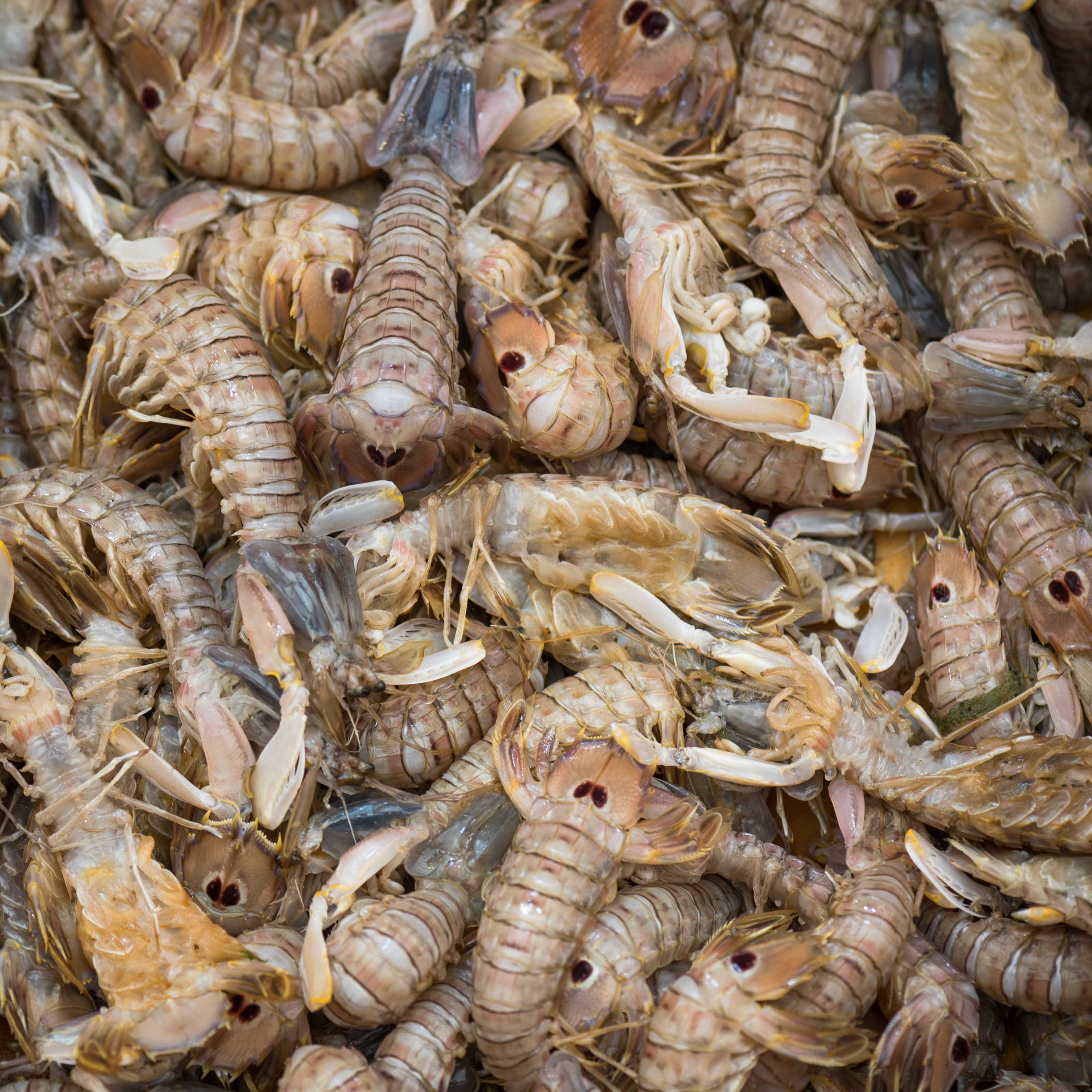 Турция '19. Юлия Розанова, коммерческий фоторепортаж в Москве