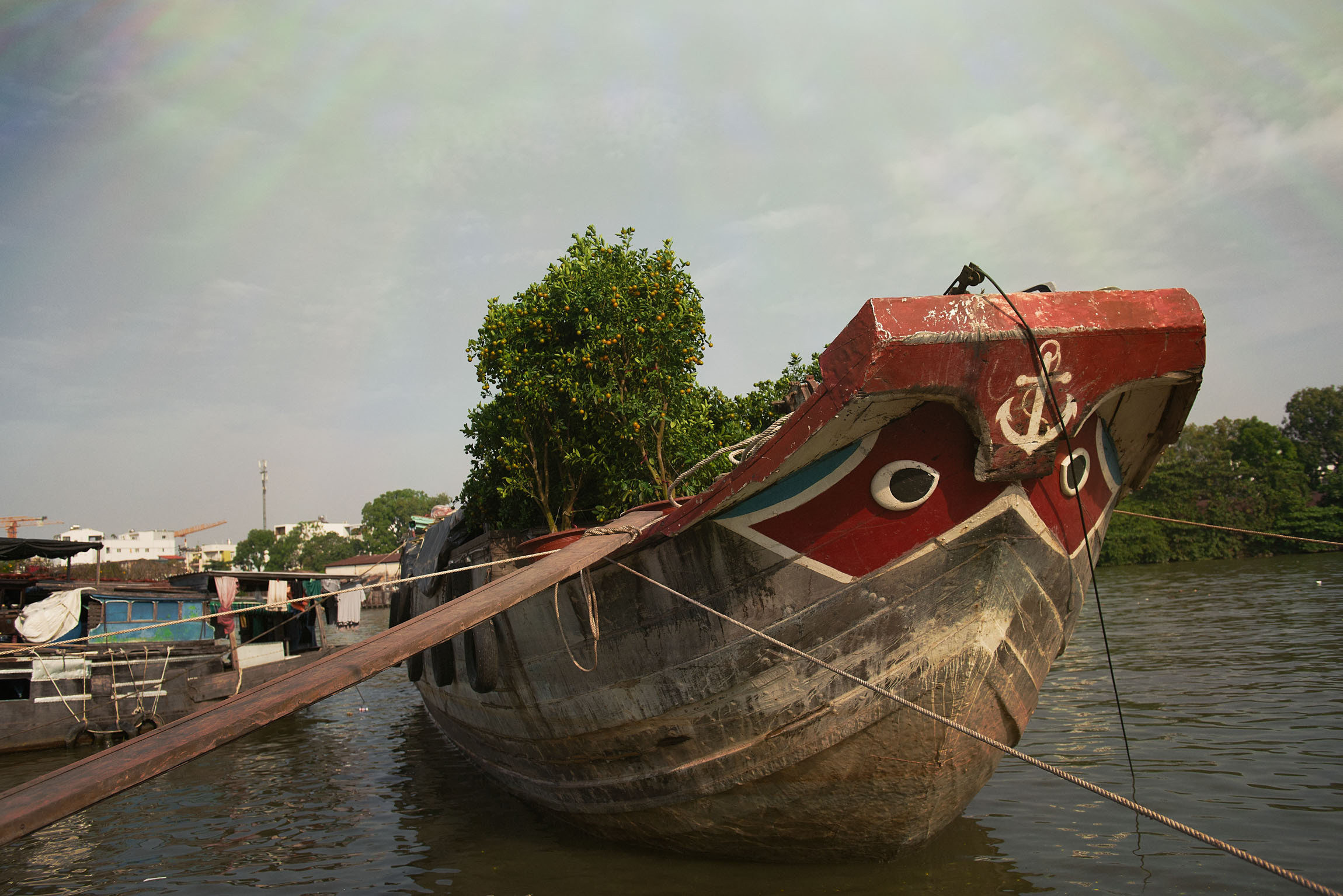 Фотопрогулка. Январь 2019. Юлия Розанова, коммерческий фоторепортаж в Москве