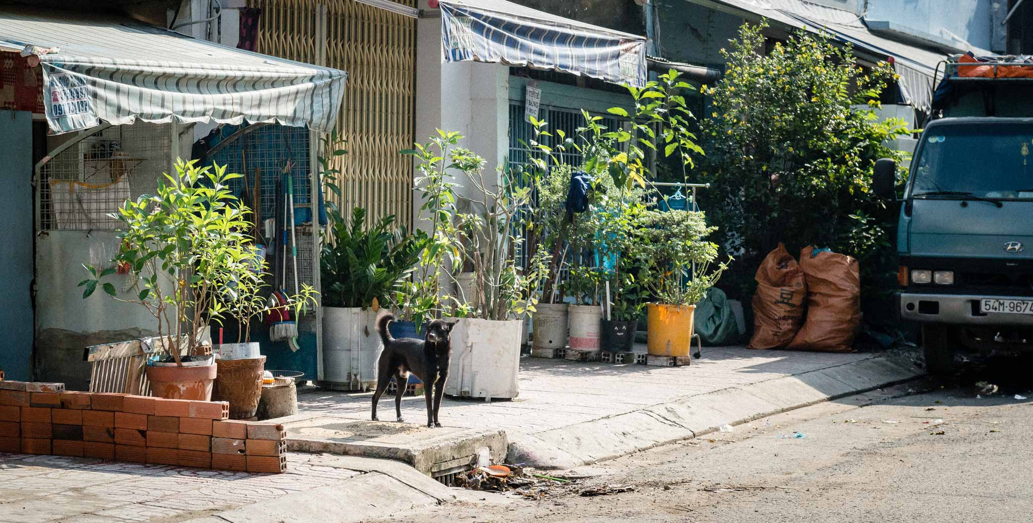 Фотопрогулка'17. Юлия Розанова, коммерческий фоторепортаж в Москве
