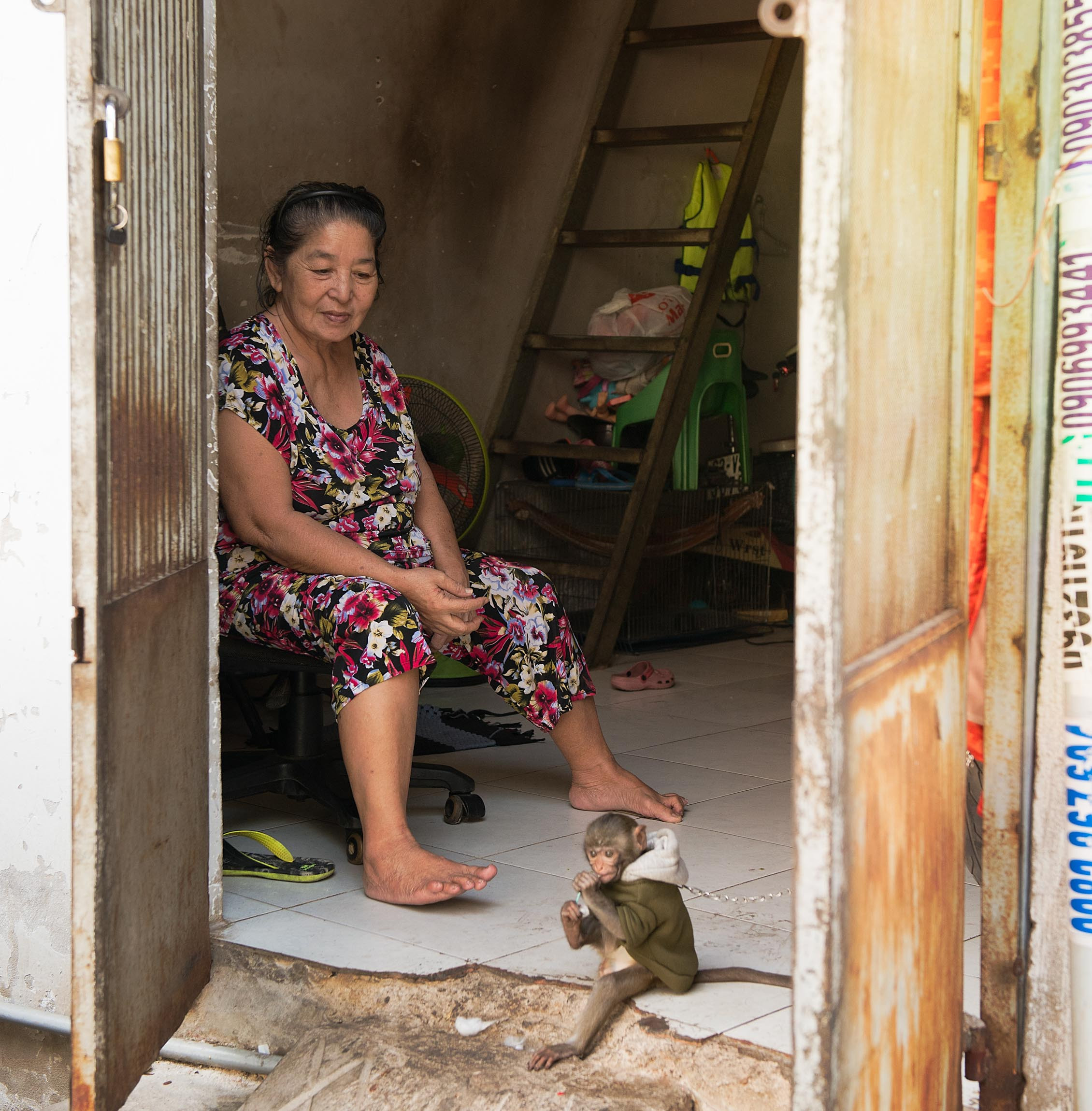 Фотопрогулка. Февраль 2019. Юлия Розанова, коммерческий фоторепортаж в Москве