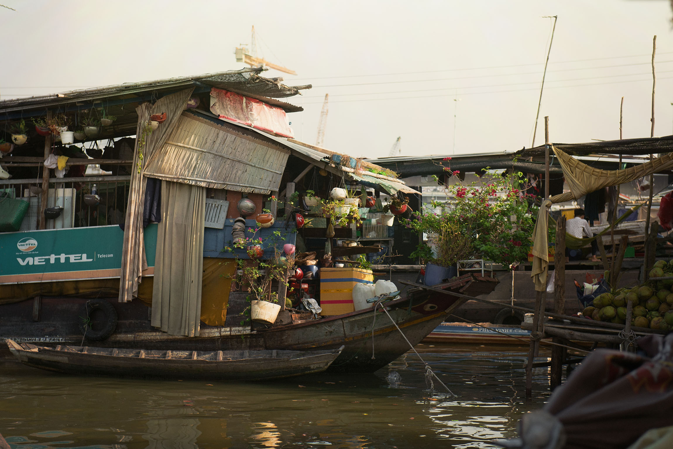 Фотопрогулка. Январь 2019. Юлия Розанова, коммерческий фоторепортаж в Москве