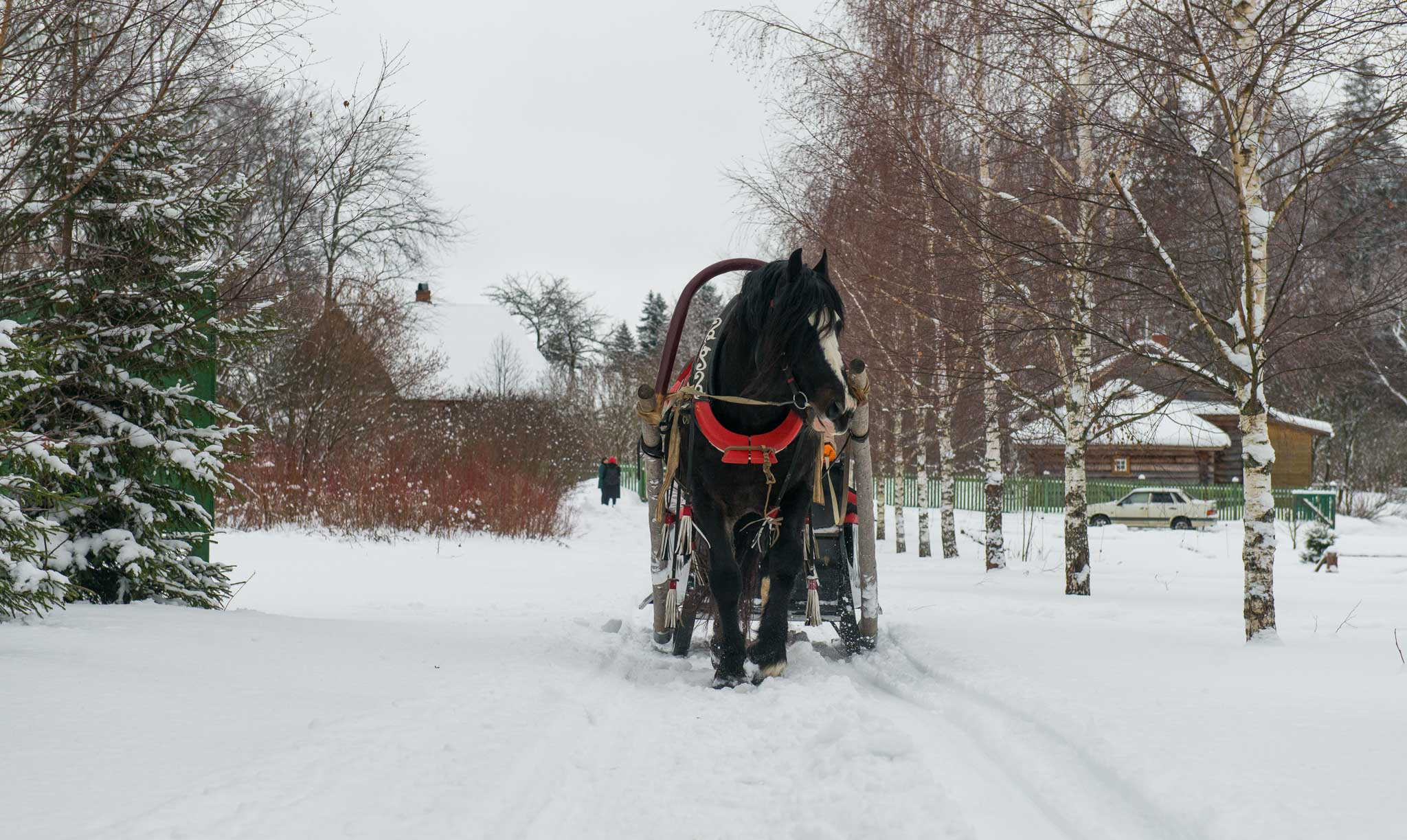 Московская обл. Шахматово. Юлия Розанова, коммерческий фоторепортаж в Москве