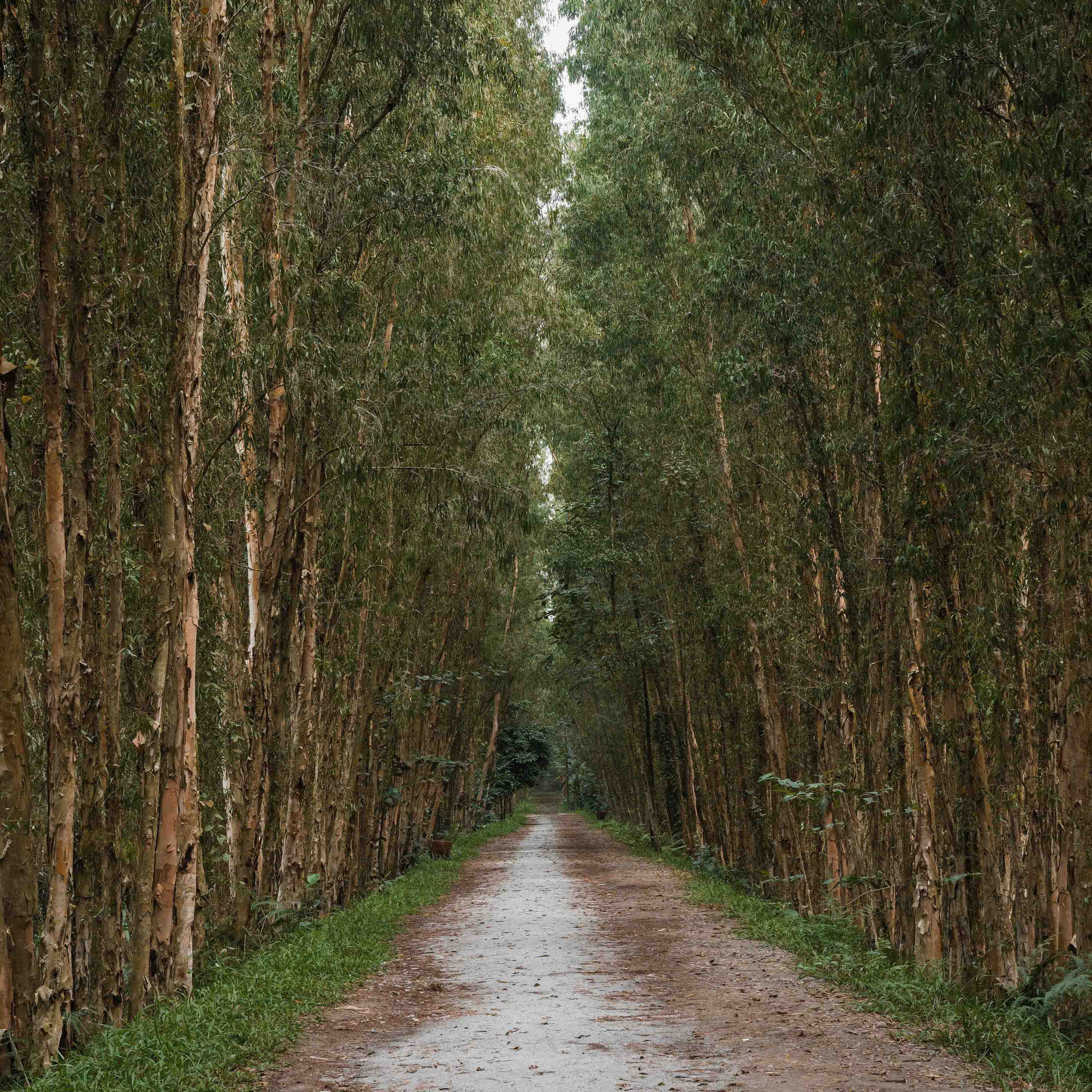 Тяудок. Март 2018. Юлия Розанова, коммерческий фоторепортаж в Москве
