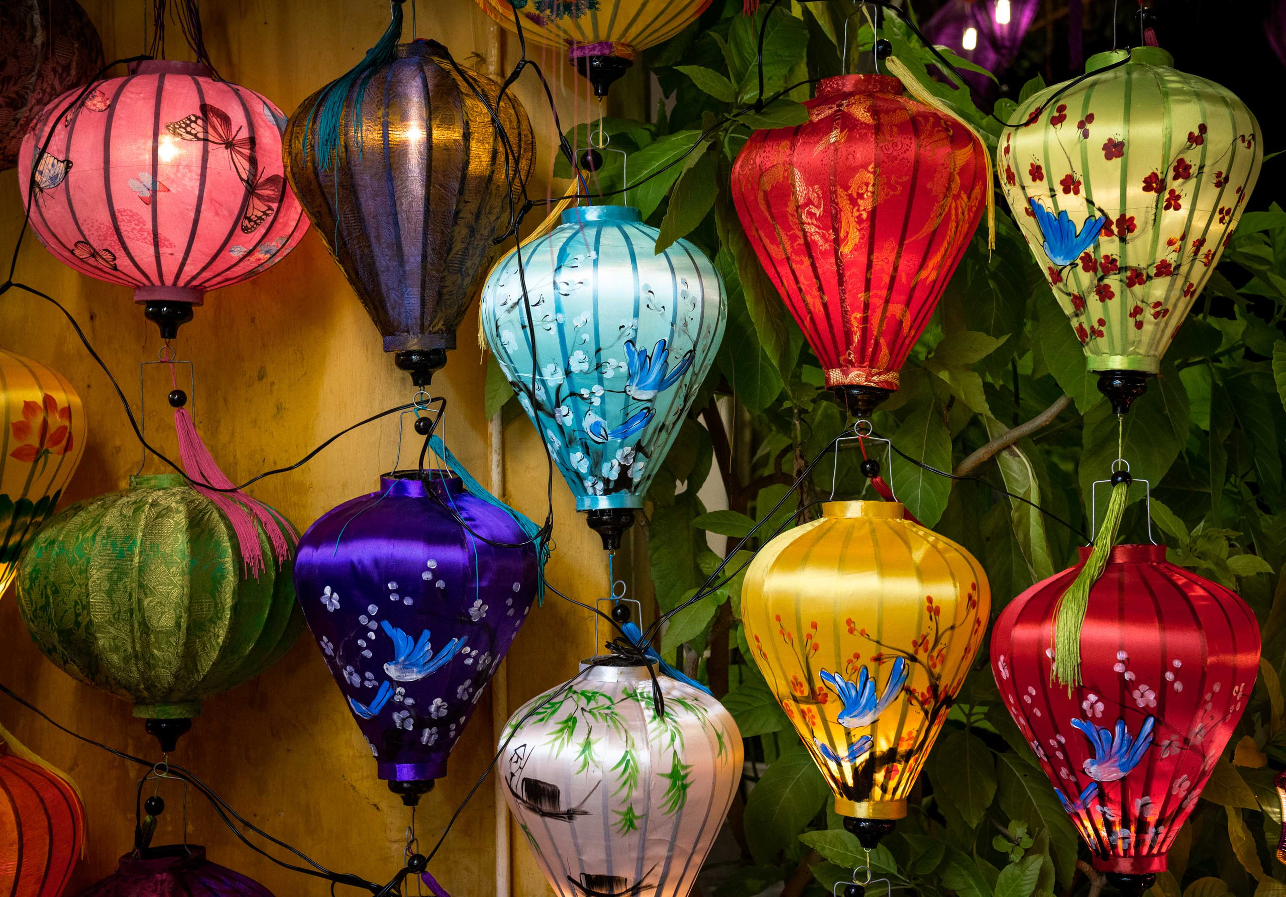 Хойан. Январь 2018. Юлия Розанова, коммерческий фоторепортаж в Москве