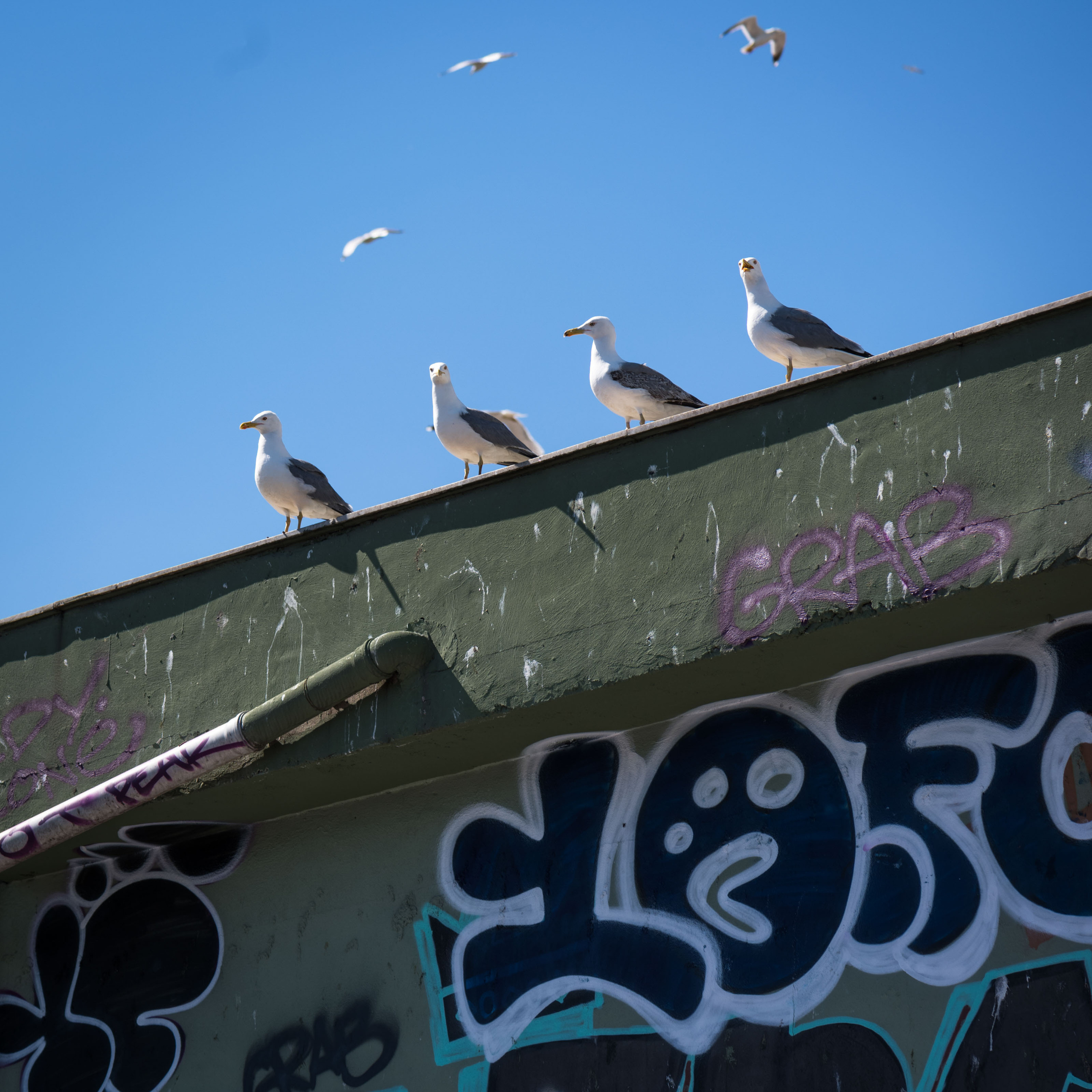 Турция '19. Юлия Розанова, коммерческий фоторепортаж в Москве