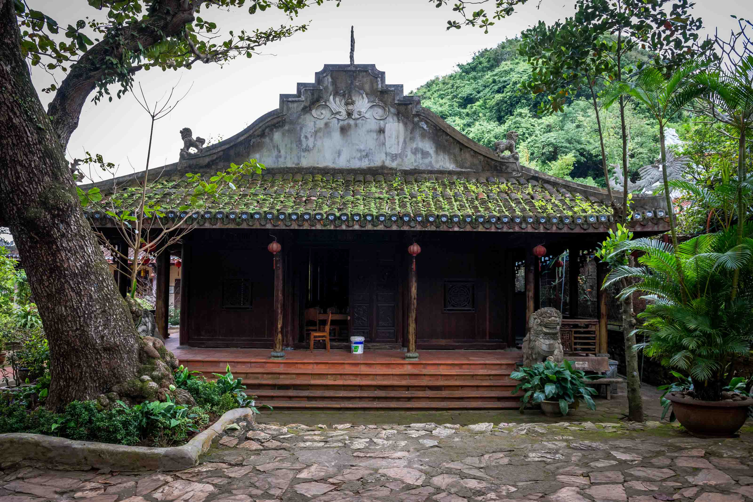 Хойан. Январь 2018. Юлия Розанова, коммерческий фоторепортаж в Москве