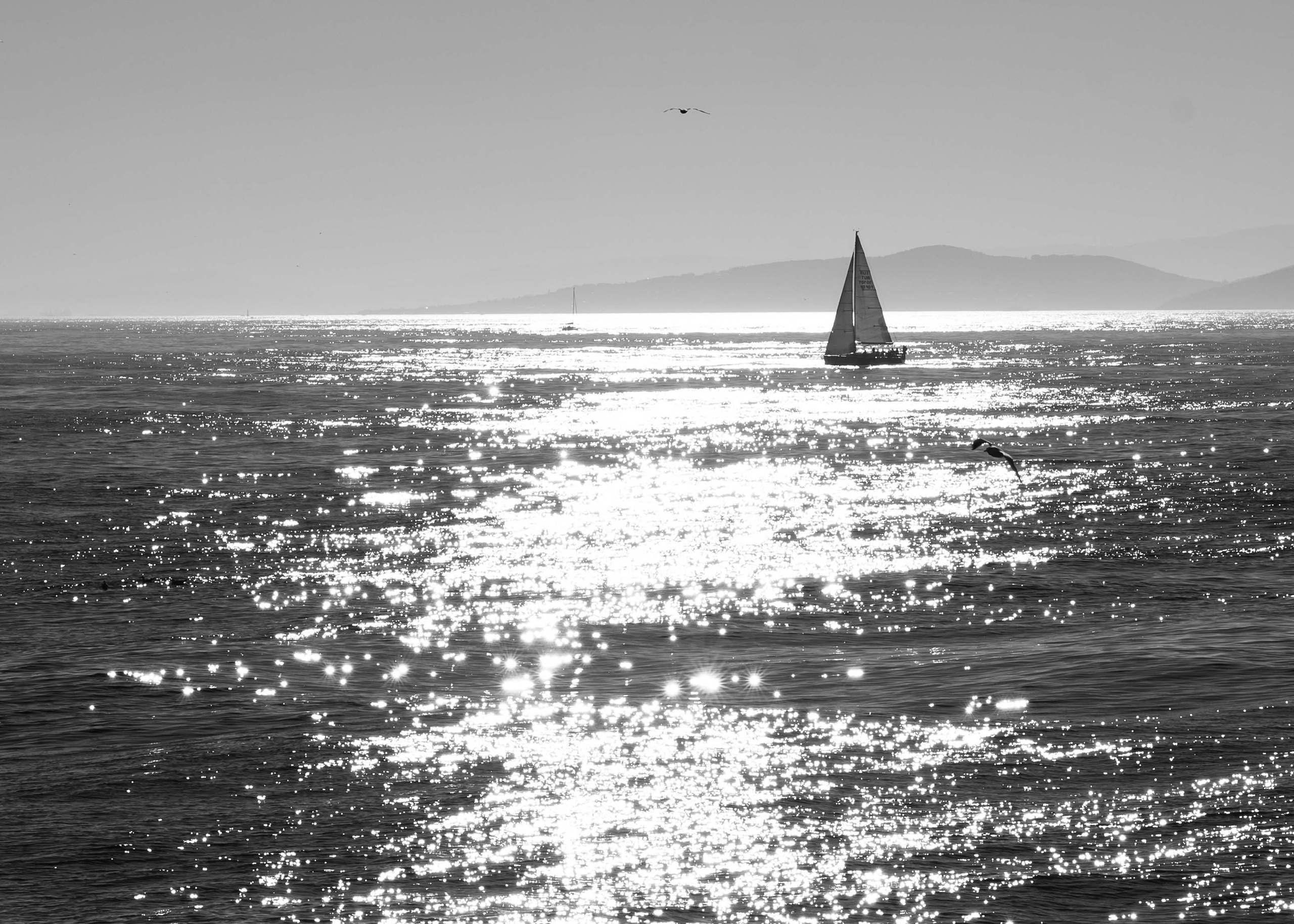 Стамбул '20. Юлия Розанова, коммерческий фоторепортаж в Москве