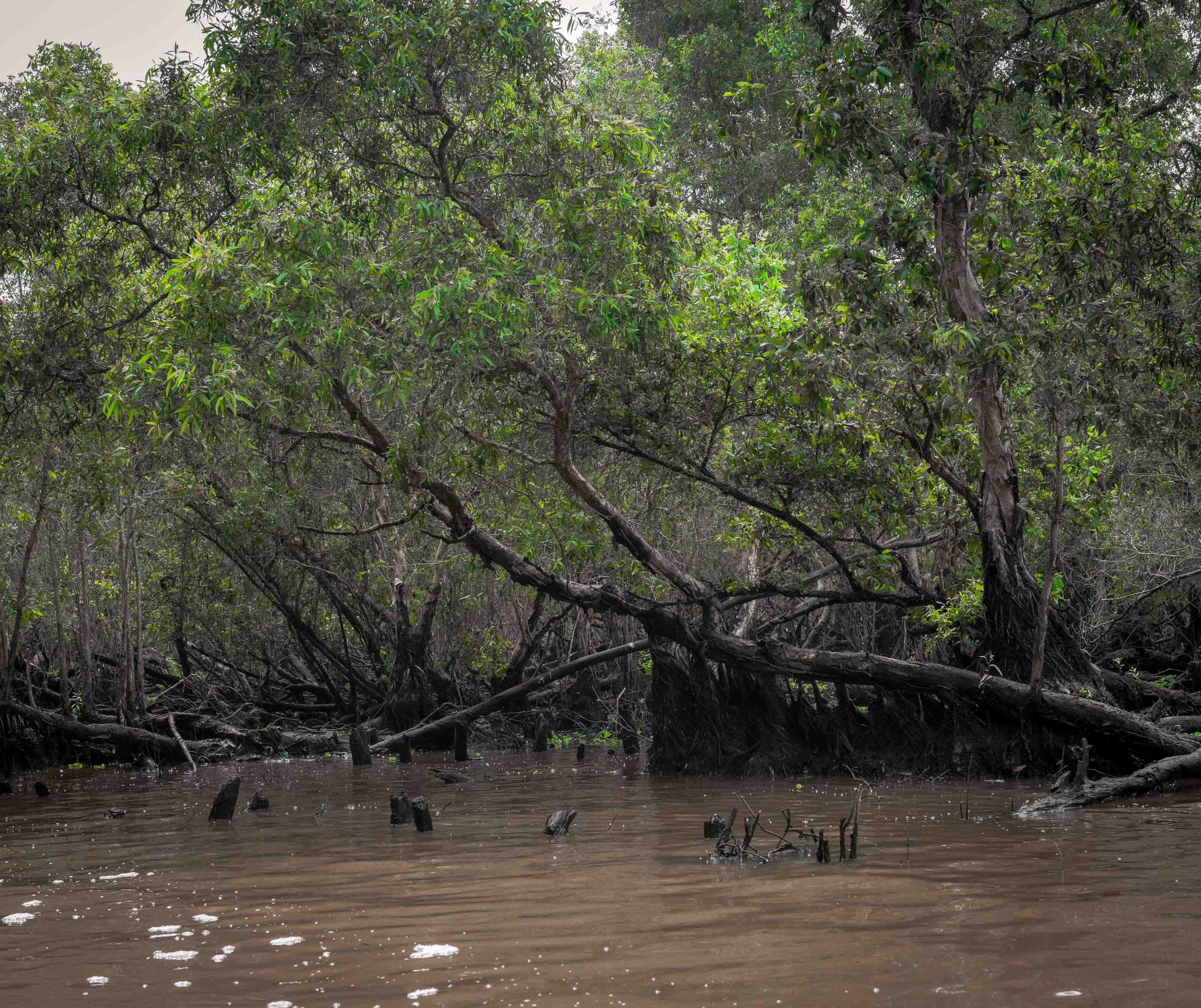 Тяудок. Март 2018. Юлия Розанова, коммерческий фоторепортаж в Москве