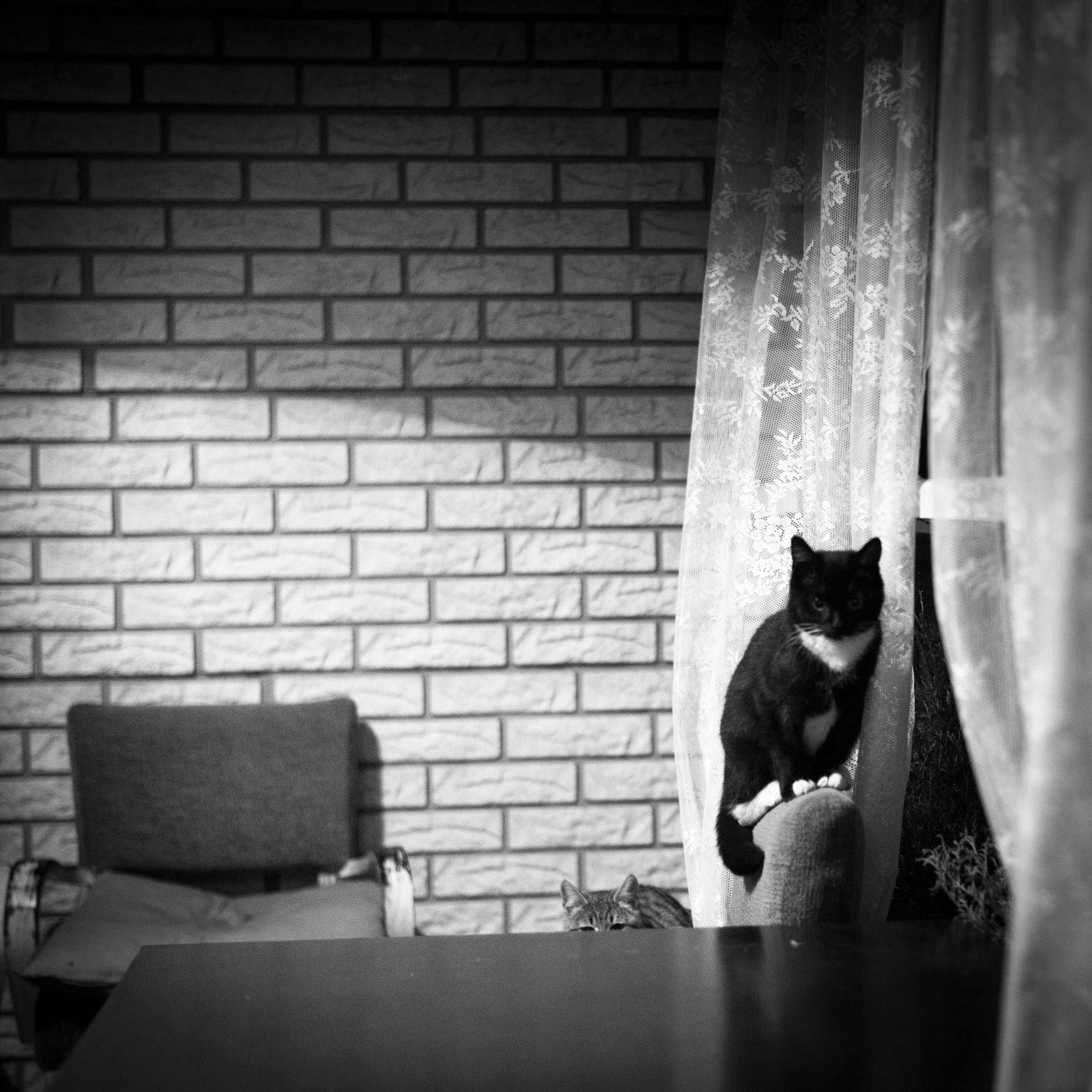 Литературные чтения. «Хитрые люди». Юлия Розанова, коммерческий фоторепортаж в Москве