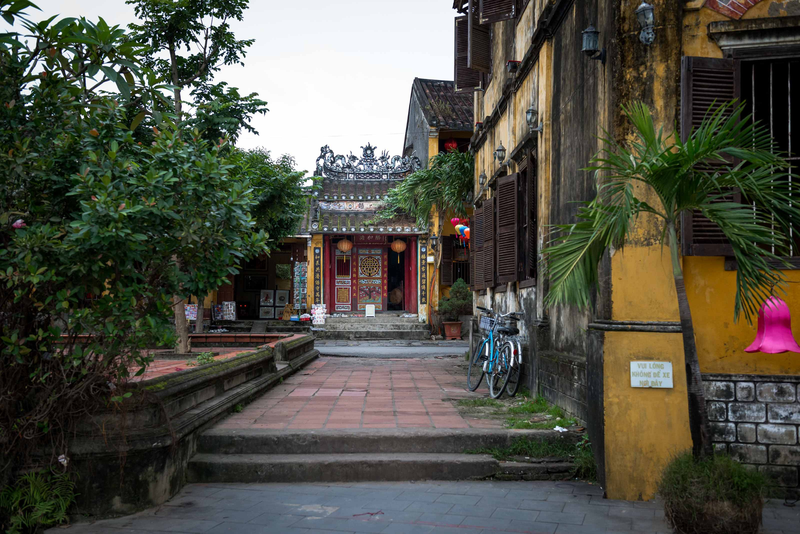 Хойан. Январь 2018. Юлия Розанова, коммерческий фоторепортаж в Москве