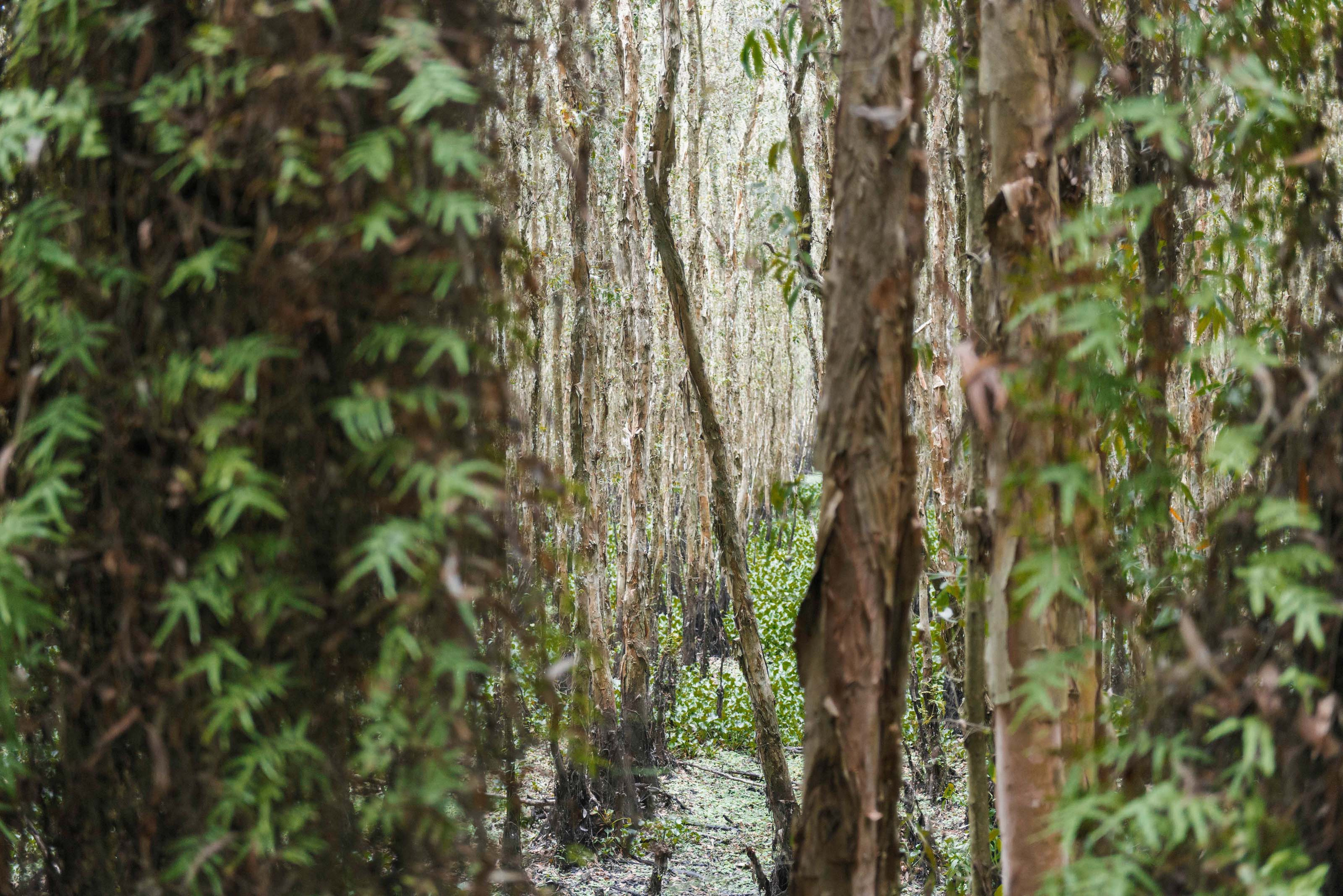 Тяудок. Март 2018. Юлия Розанова, коммерческий фоторепортаж в Москве