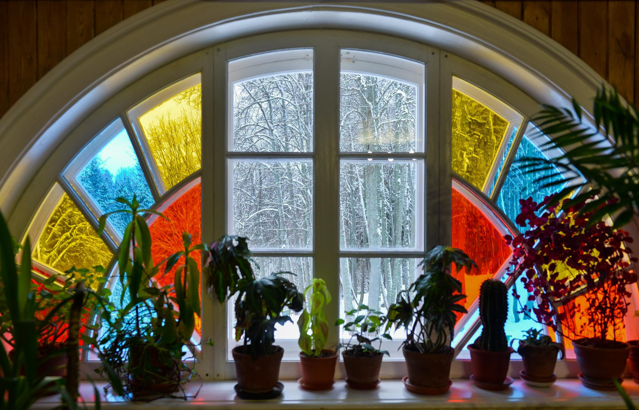 Московская обл. Шахматово. Юлия Розанова, коммерческий фоторепортаж в Москве