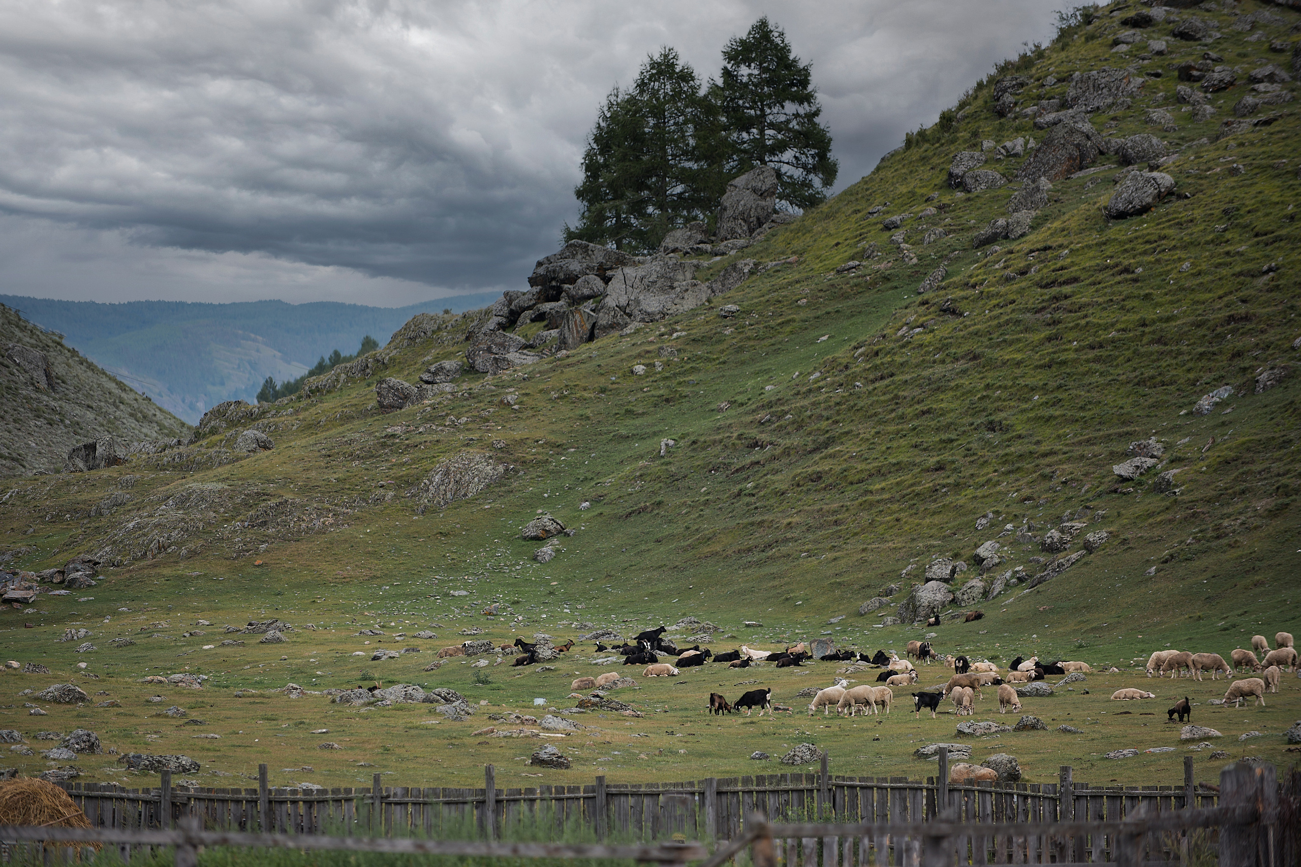 Алтай. Юлия Розанова, коммерческий фоторепортаж в Москве