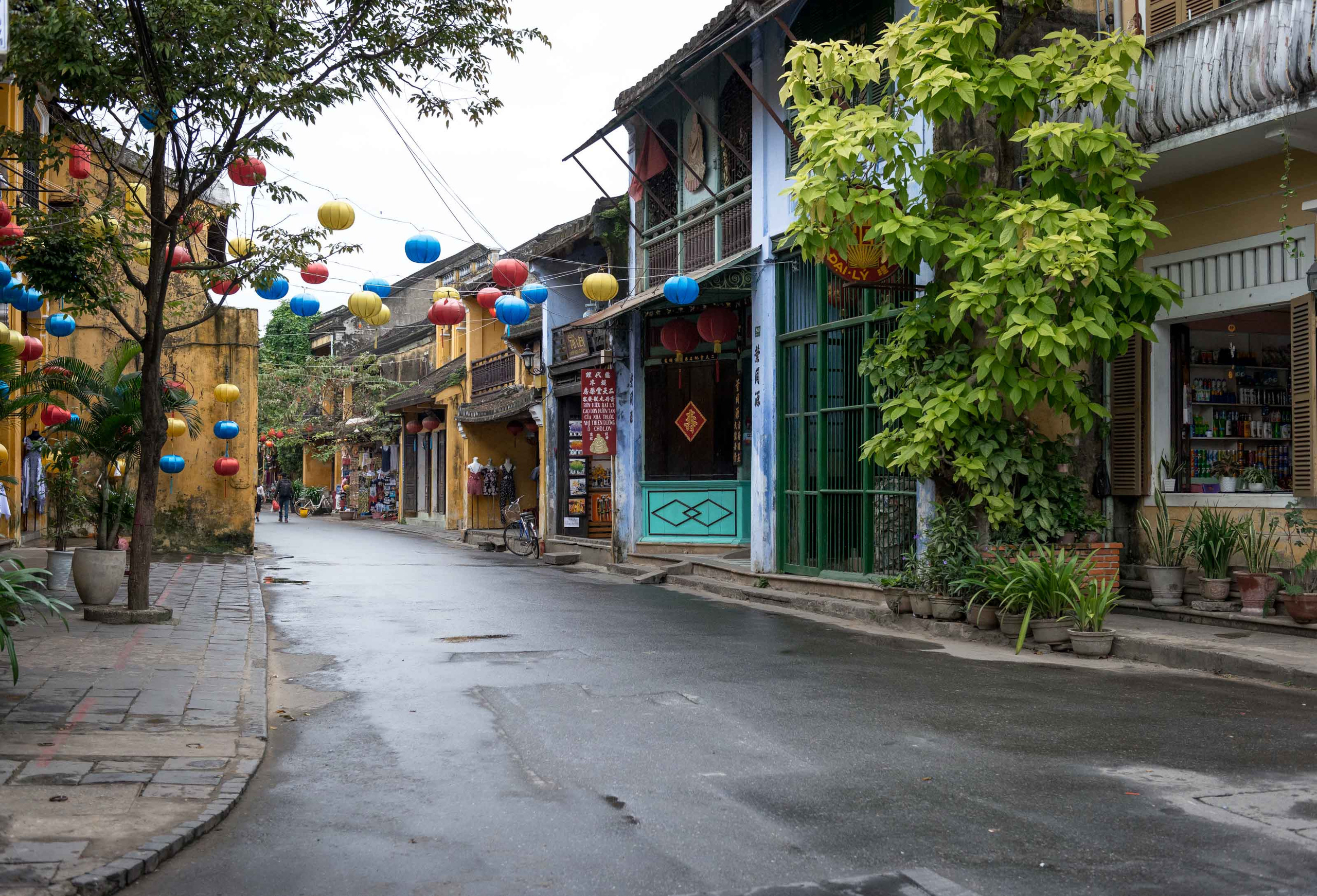 Хойан. Январь 2018. Юлия Розанова, коммерческий фоторепортаж в Москве