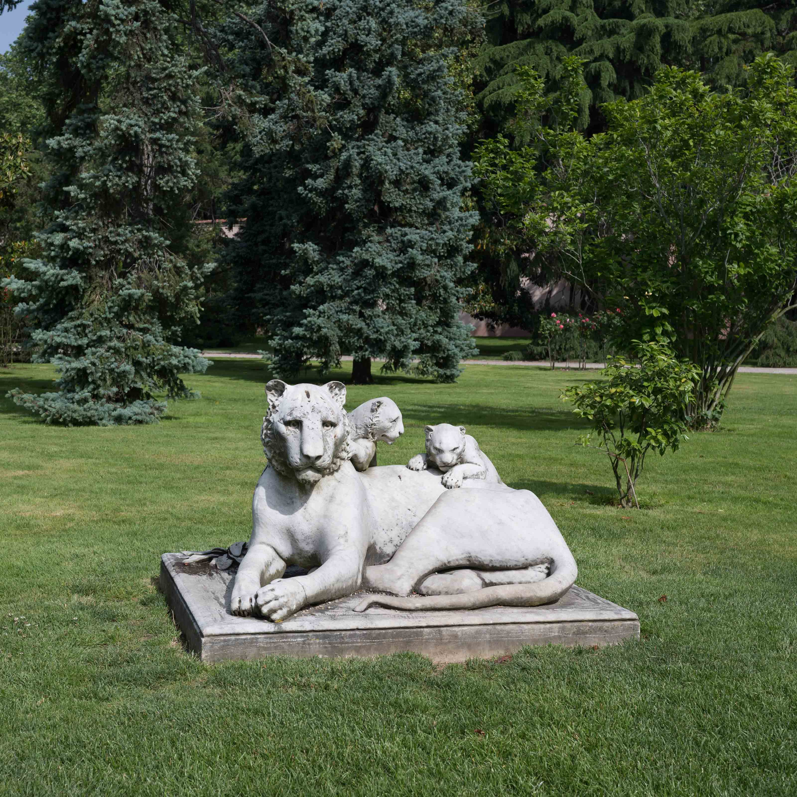 Турция '19. Юлия Розанова, коммерческий фоторепортаж в Москве