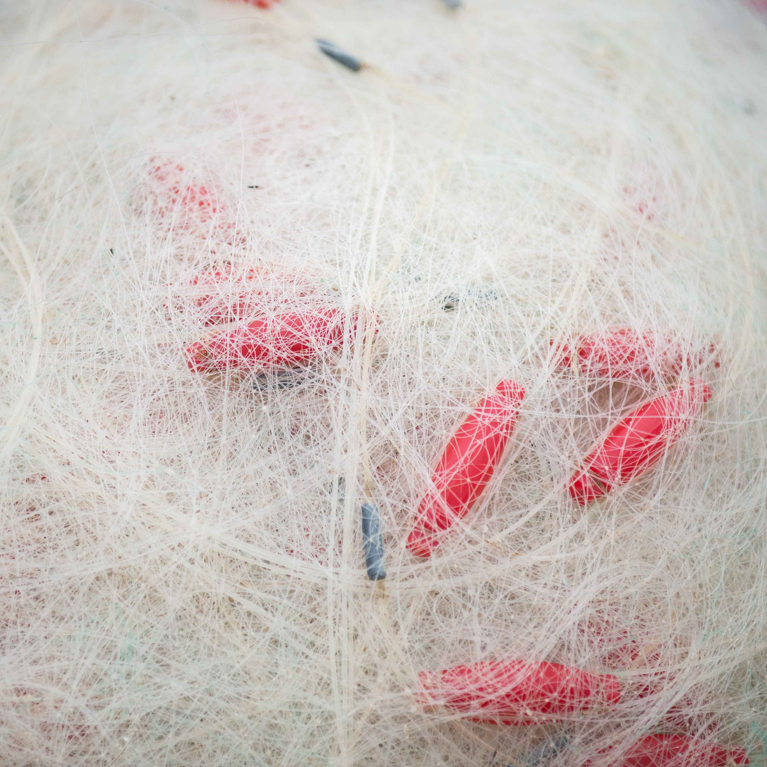 Хойан. Январь 2018. Юлия Розанова, коммерческий фоторепортаж в Москве