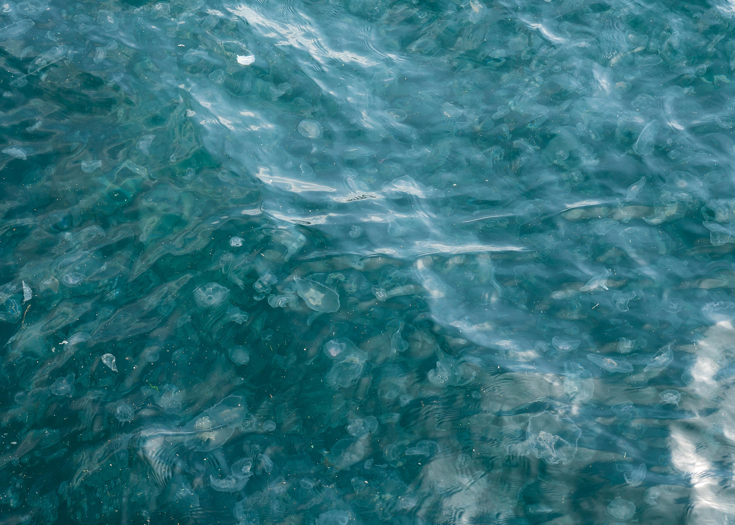 Стамбул '20. Юлия Розанова, коммерческий фоторепортаж в Москве