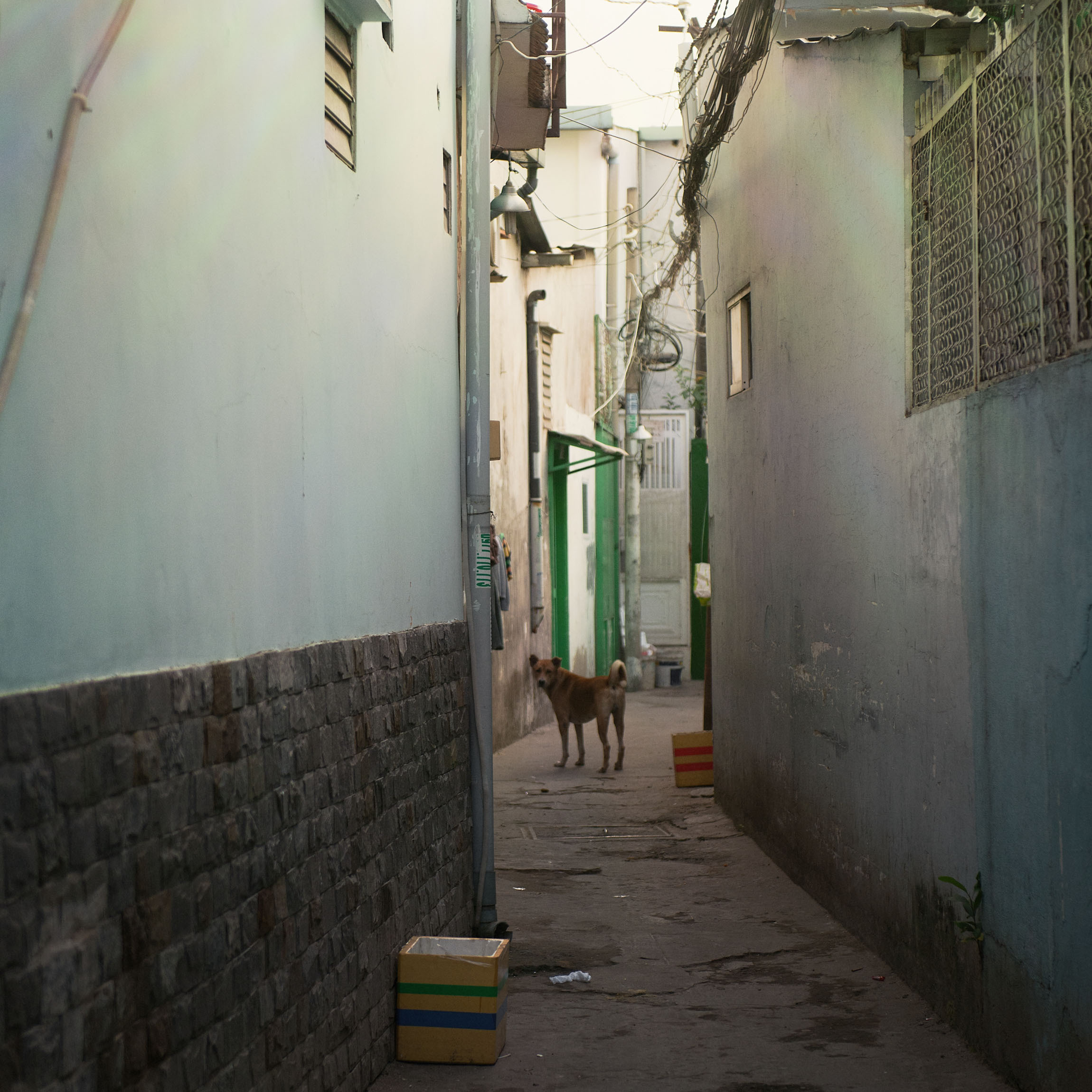 Фотопрогулка. Январь 2019. Юлия Розанова, коммерческий фоторепортаж в Москве