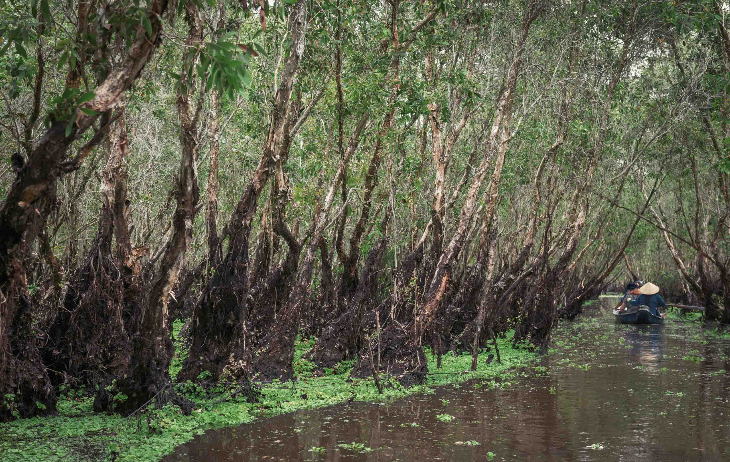 Тяудок. Март 2018. Юлия Розанова, коммерческий фоторепортаж в Москве