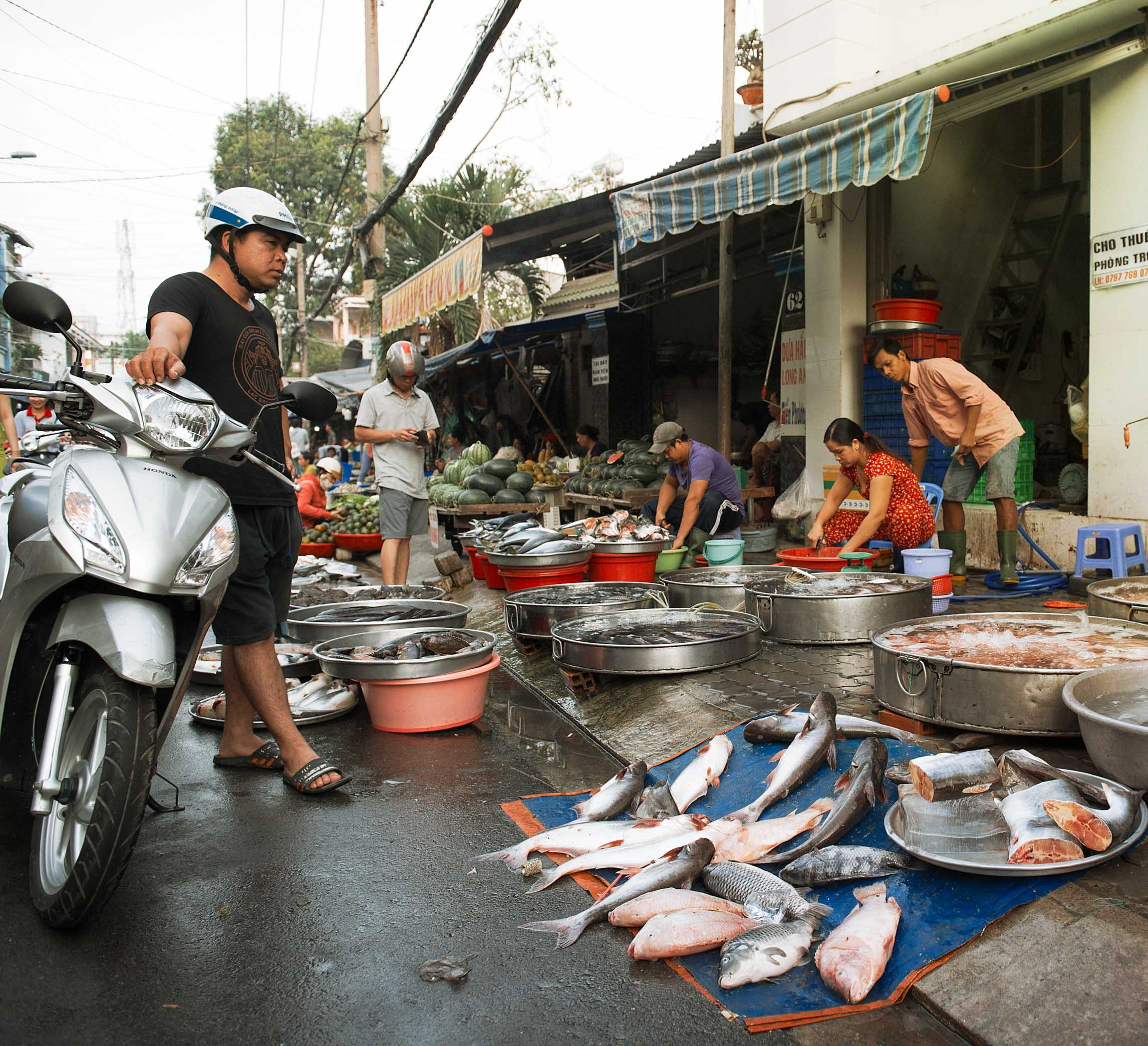 Фотопрогулка. Февраль 2019. Юлия Розанова, коммерческий фоторепортаж в Москве