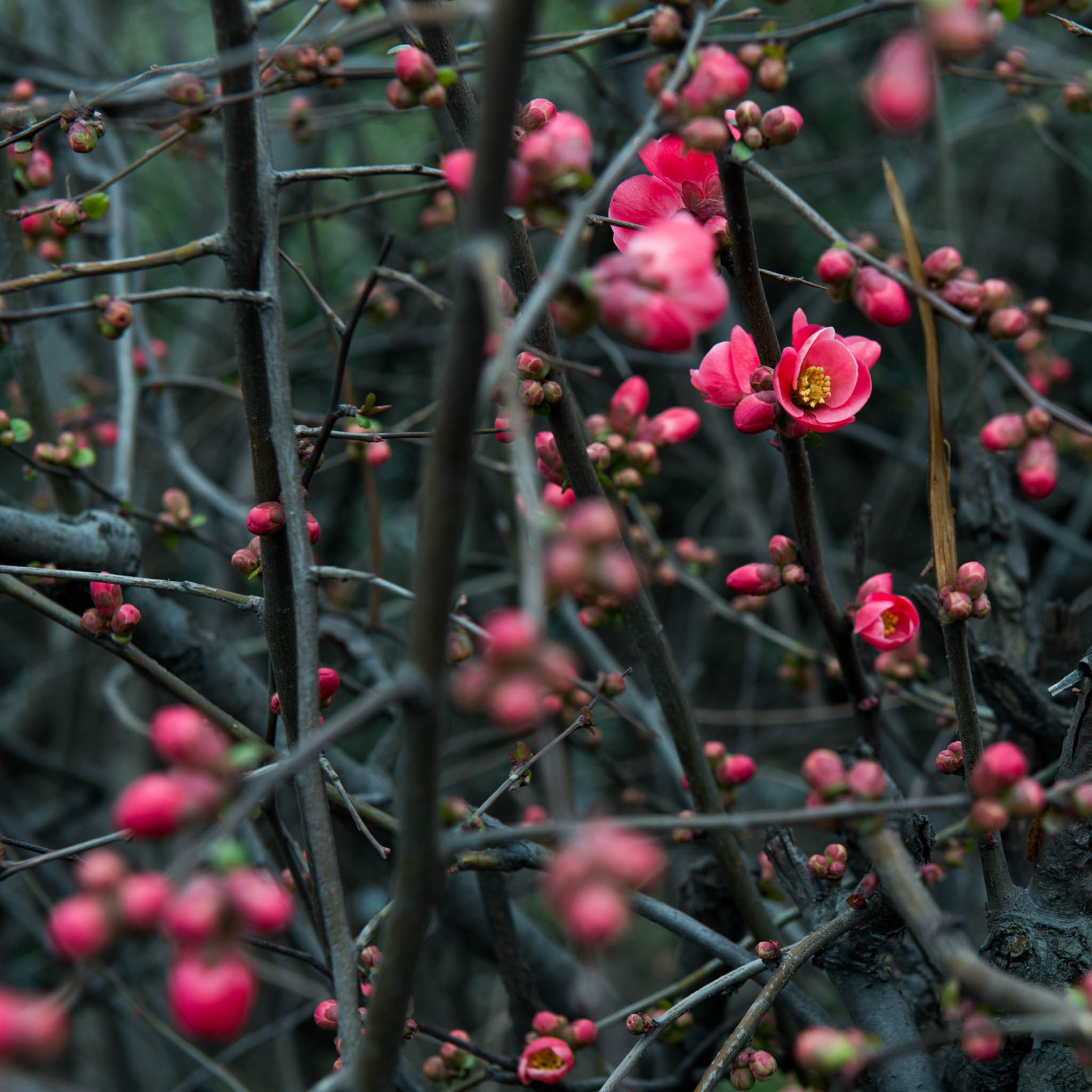 Симеиз-Ялта. Друзья. Юлия Розанова, коммерческий фоторепортаж в Москве